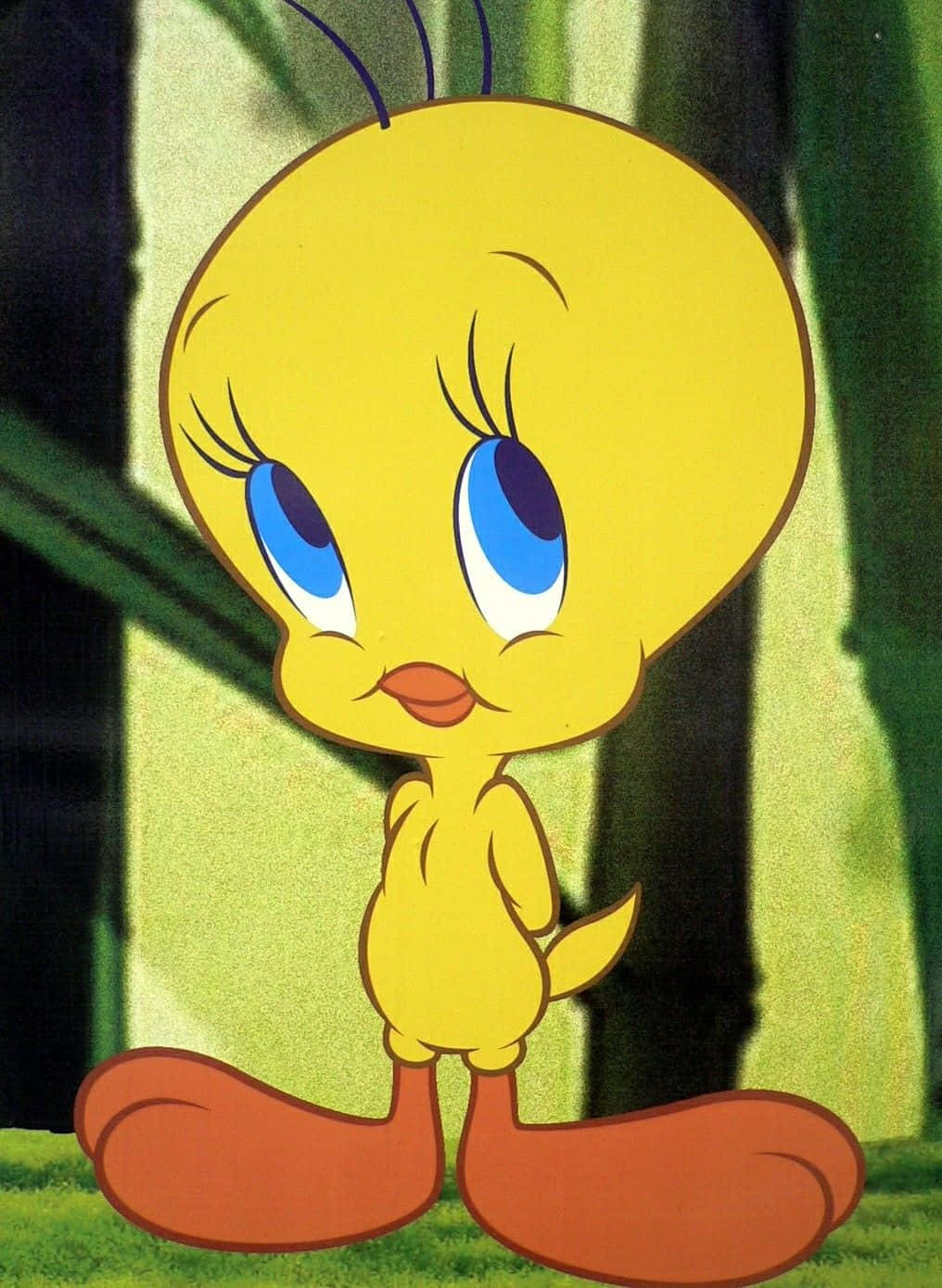 Tweety Bird 桌布 壁紙 — 經典卡通角色 Tweety Bird 站在森林中，擁有大大的藍色眼睛和甜美的笑容。