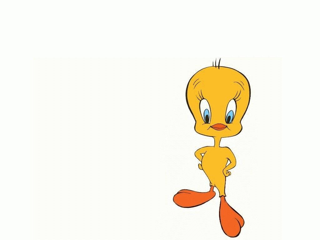 崔弟 桌布 壁紙 — 經典卡通角色 Tweety Bird 自信地雙手叉腰，站在純米白色背景前。