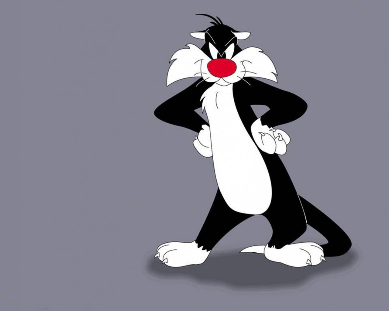 Sylvester 桌布 壁紙 — 經典卡通貓 Sylvester 自信地雙手叉腰，站在純灰色背景前。