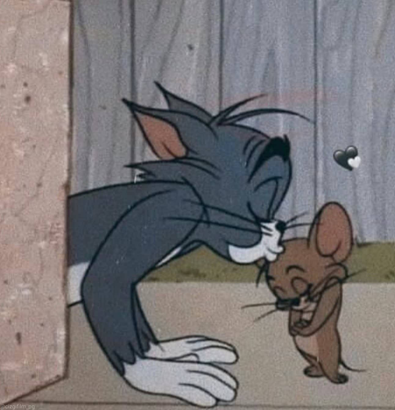 貓 Tom 親吻老鼠 Jerry，Jerry 臉紅，頭頂上有一顆心。 — 湯姆與傑利 GIF 壁紙