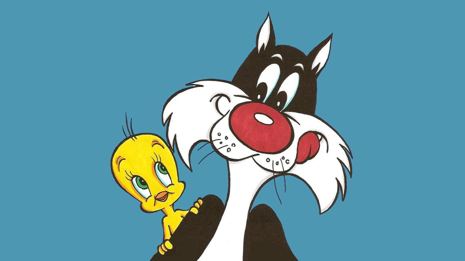 Sylvester 桌布 壁紙 — 經典卡通貓和鳥角色在純青色背景上擺姿勢，帶有粗線條和鮮豔色彩。