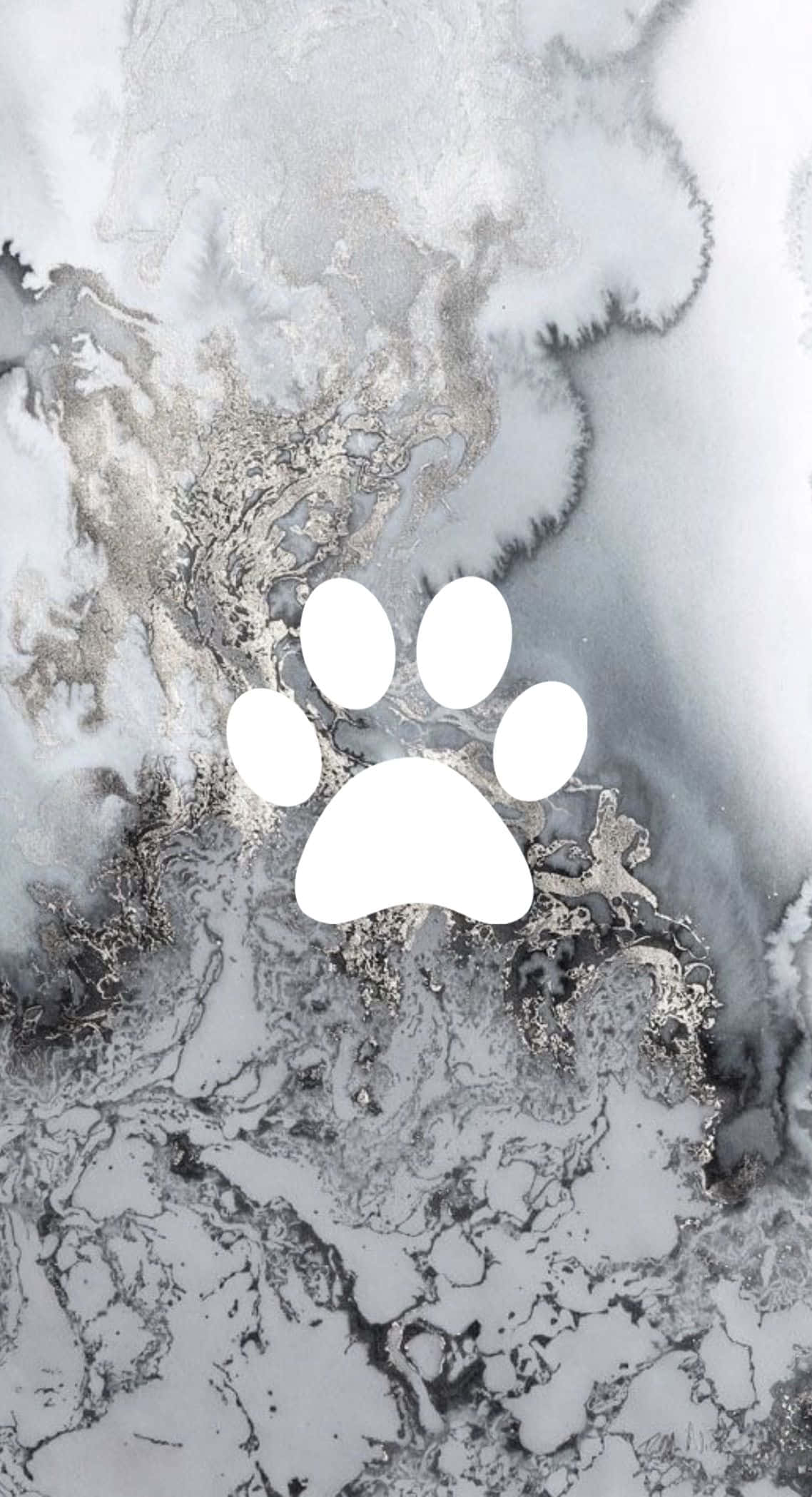 經典銀色美學，展現獨特設計的 iPhone。 壁紙