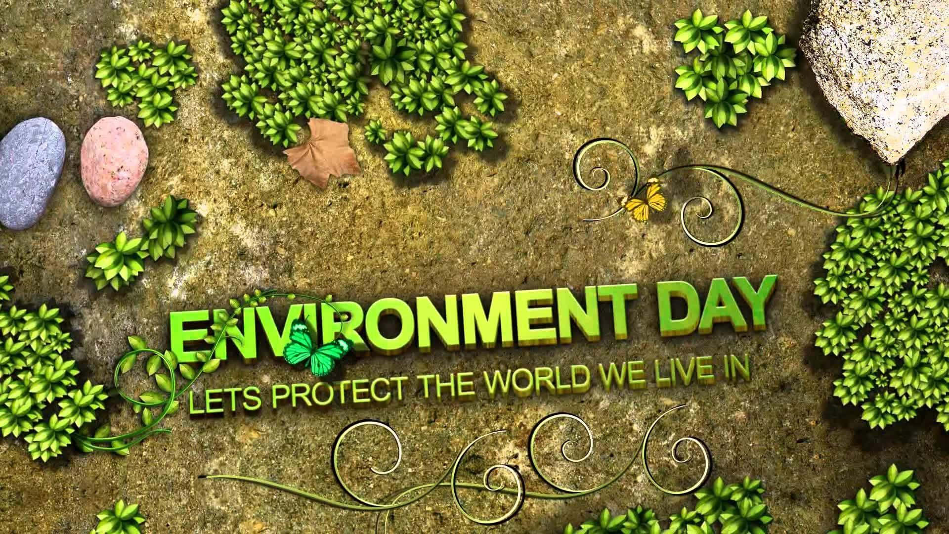 World 桌布 壁紙 — 綠色3D文字顯示Environment Day，周圍環繞著苔蘚石頭和蝴蝶，位於紋理地面上。