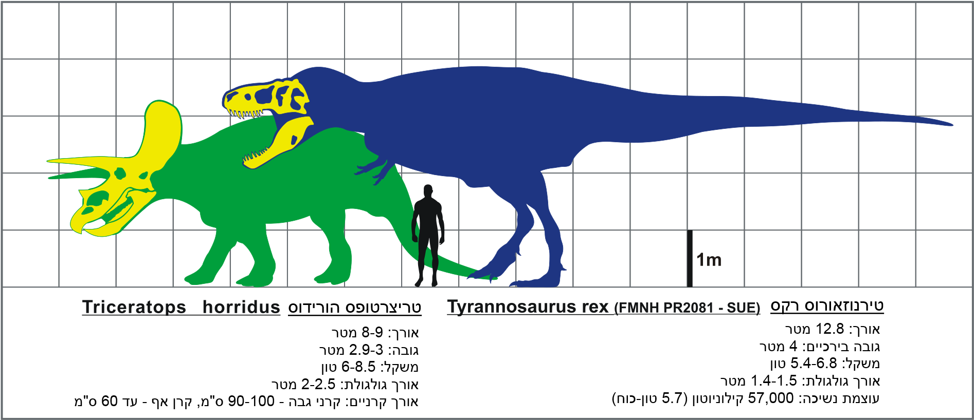 Triceratops 桌布 壁紙 — 綠色三角龍和藍色暴龍的大小比較插圖，黑色網格背景上有人類剪影。