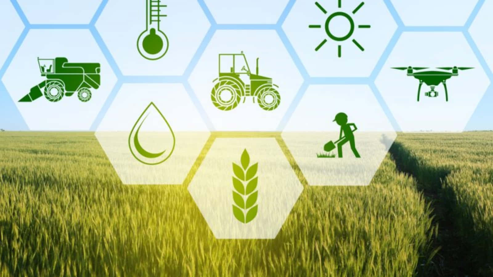 Agriculture 桌布 壁紙 — 綠色六角形圖標顯示農具和天氣符號，漂浮在明亮天空下的金色麥田上方。