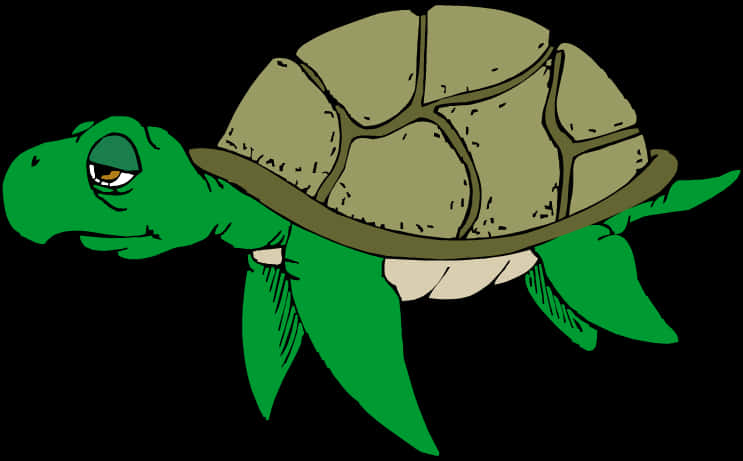 綠色卡通烏龜插圖 壁紙