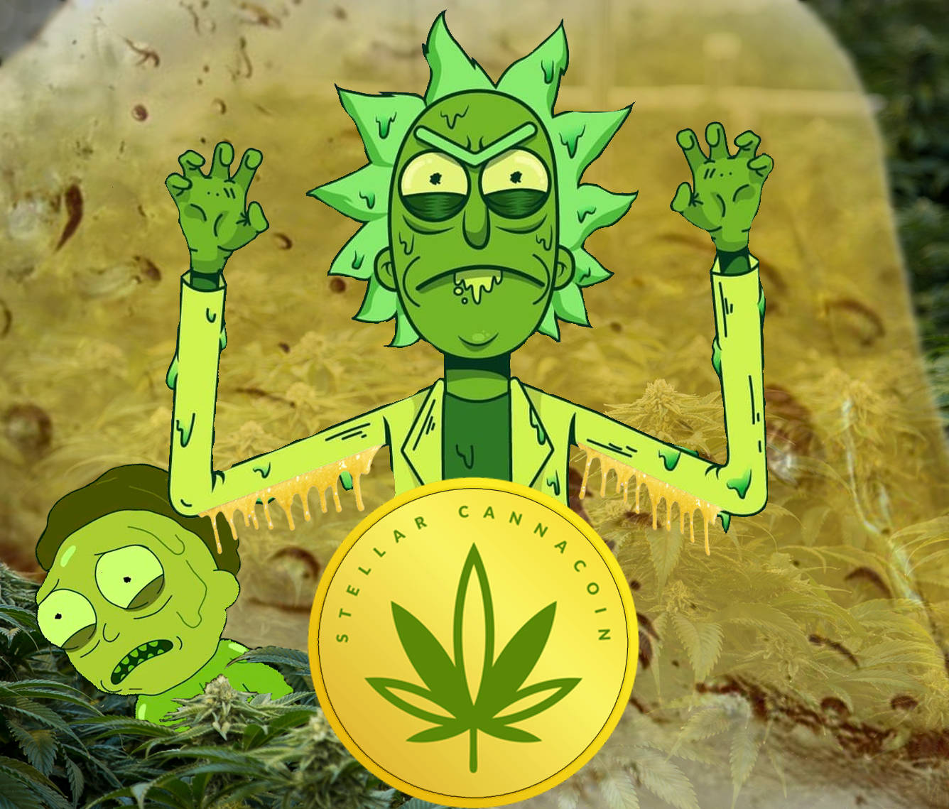 瑞克和莫蒂 桌布 壁紙 — 綠色卡通角色瑞克和莫蒂在大麻植物中顯得苦惱，旁邊有一枚標有 Stellar Cannacoins 的金幣。