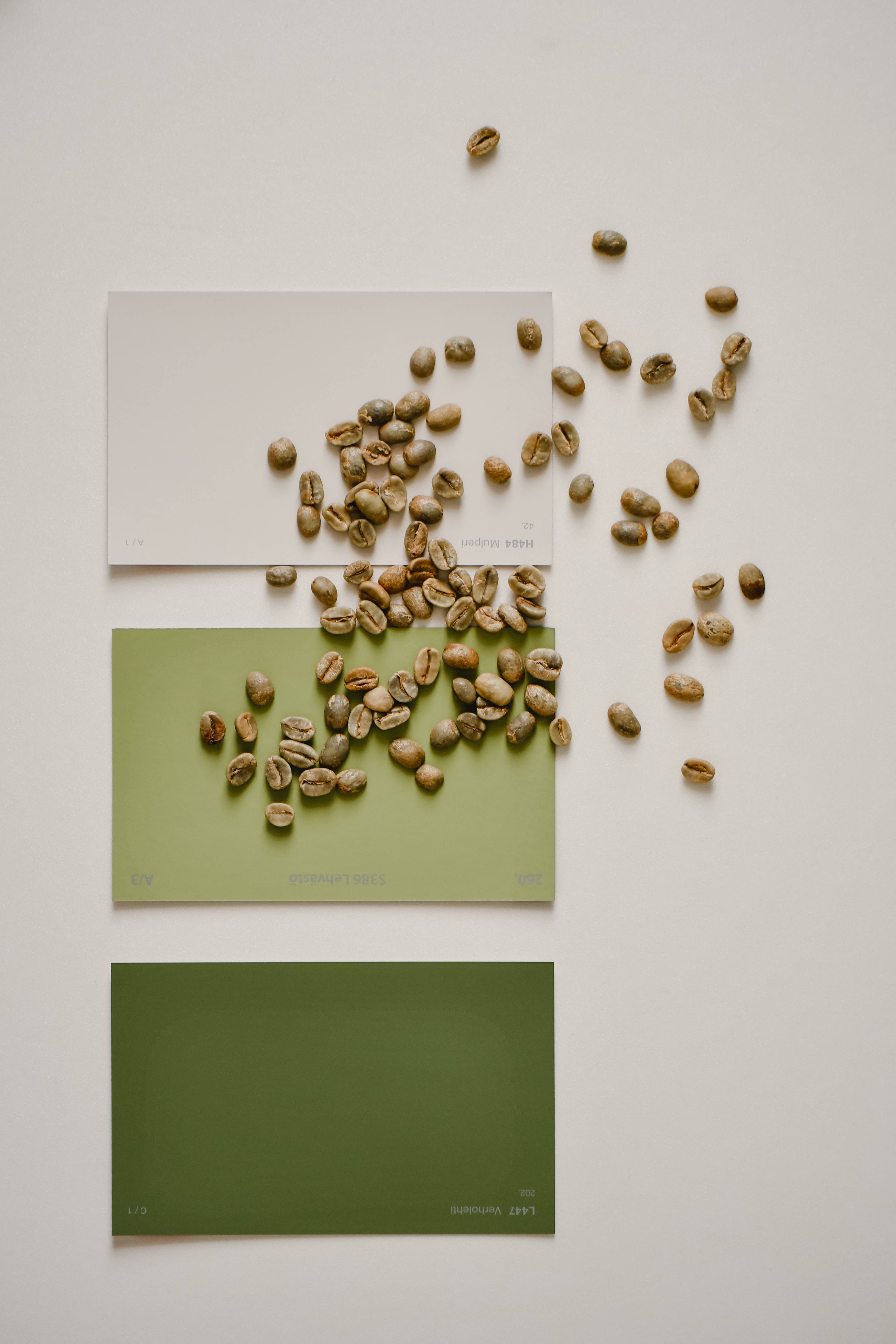 Coffee Bean 桌布 壁紙 — 綠色咖啡豆散落在三個堆疊的色票上，呈現柔和的大地色調，背景為簡約的白色。