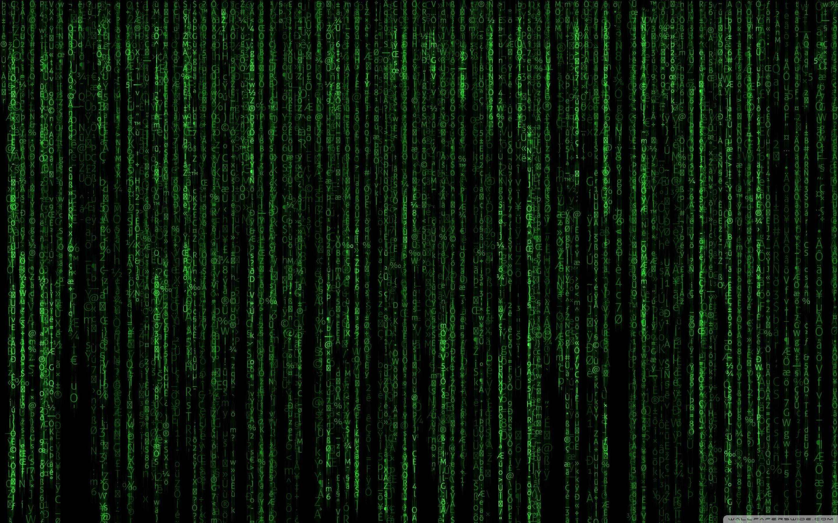 矩陣 桌布 壁紙 — 綠色數位代碼流在黑色背景上垂直傾瀉，呈現 Matrix 風格視覺效果。