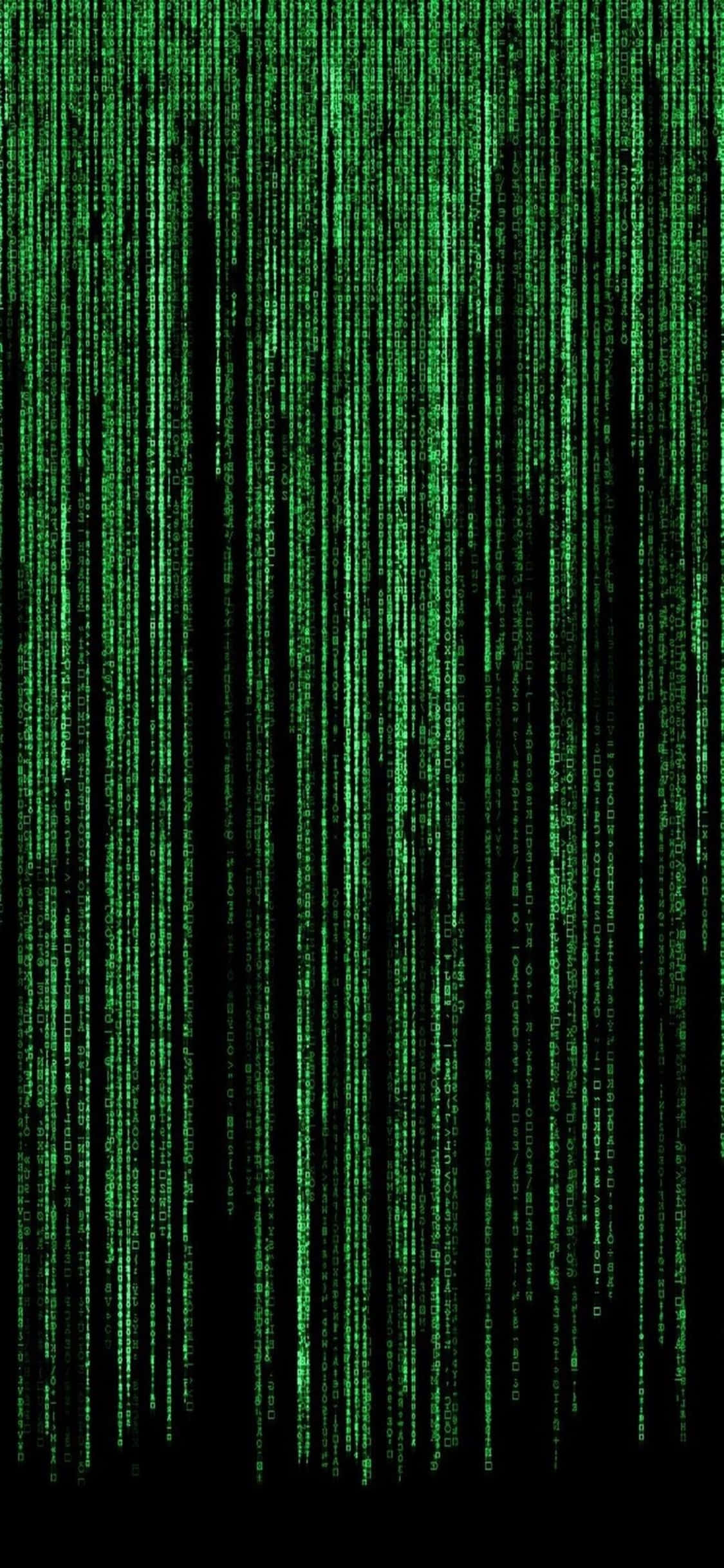 程式設計 桌布 壁紙 — 綠色數位代碼流垂直傾瀉在黑色背景上，呈現 Matrix 風格的視覺效果。