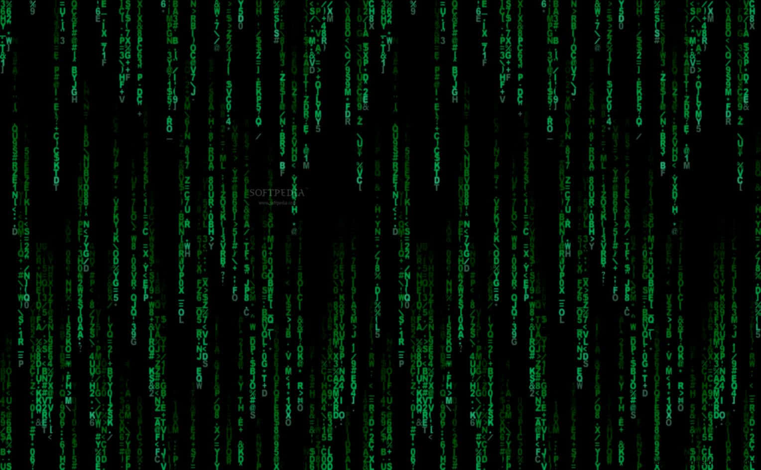 Matrix Zoom 桌布 壁紙 — 綠色數位代碼流垂直傾瀉在黑色背景上，呈現 Matrix 風格的視覺效果。