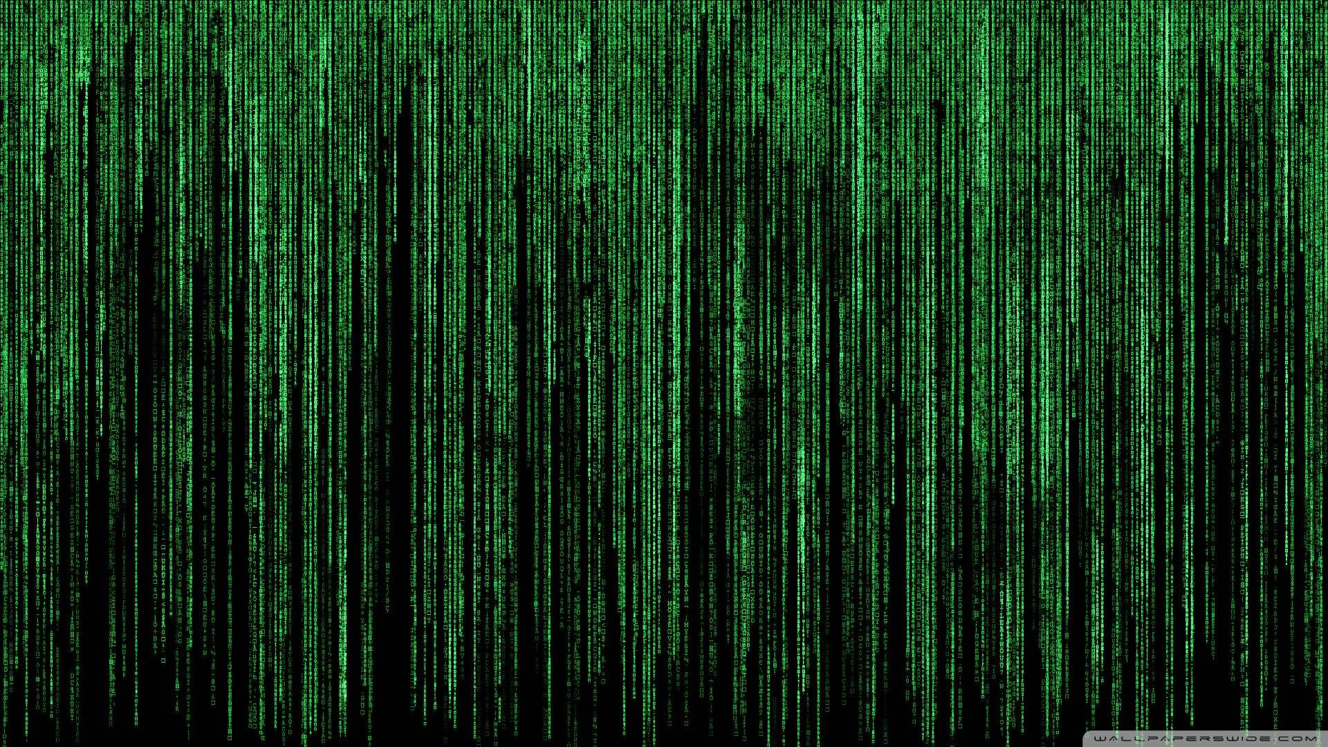 矩陣 桌布 壁紙 — 綠色數位代碼流垂直傾瀉在黑色背景上，呈現 Matrix 風格的視覺效果。