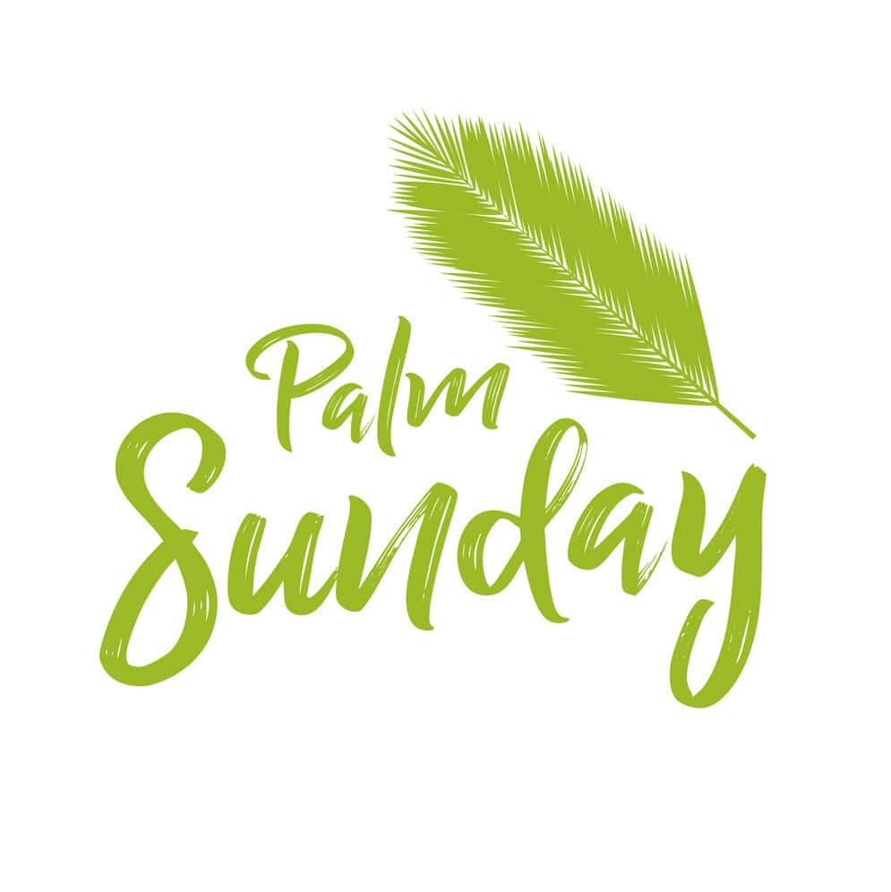 Palm Leaf 桌布 壁紙 — 綠色棕櫚葉和草書「棕枝主日」文字，以極簡向量設計呈現於白色背景上。