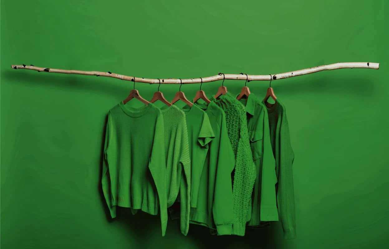 Green Fashion 桌布 壁紙 — 綠色毛衣整齊地掛在天然樺樹枝上的木衣架上，背景是純綠色牆壁。