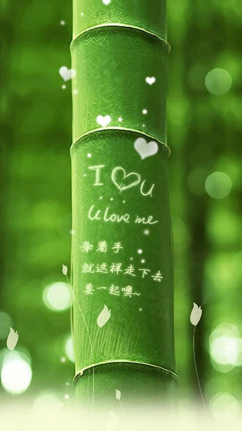 Nature Love 桌布 壁紙 — 綠色竹莖的特寫，上面有手寫的愛情訊息和心形圖案，在模糊的森林背景下柔和發光。