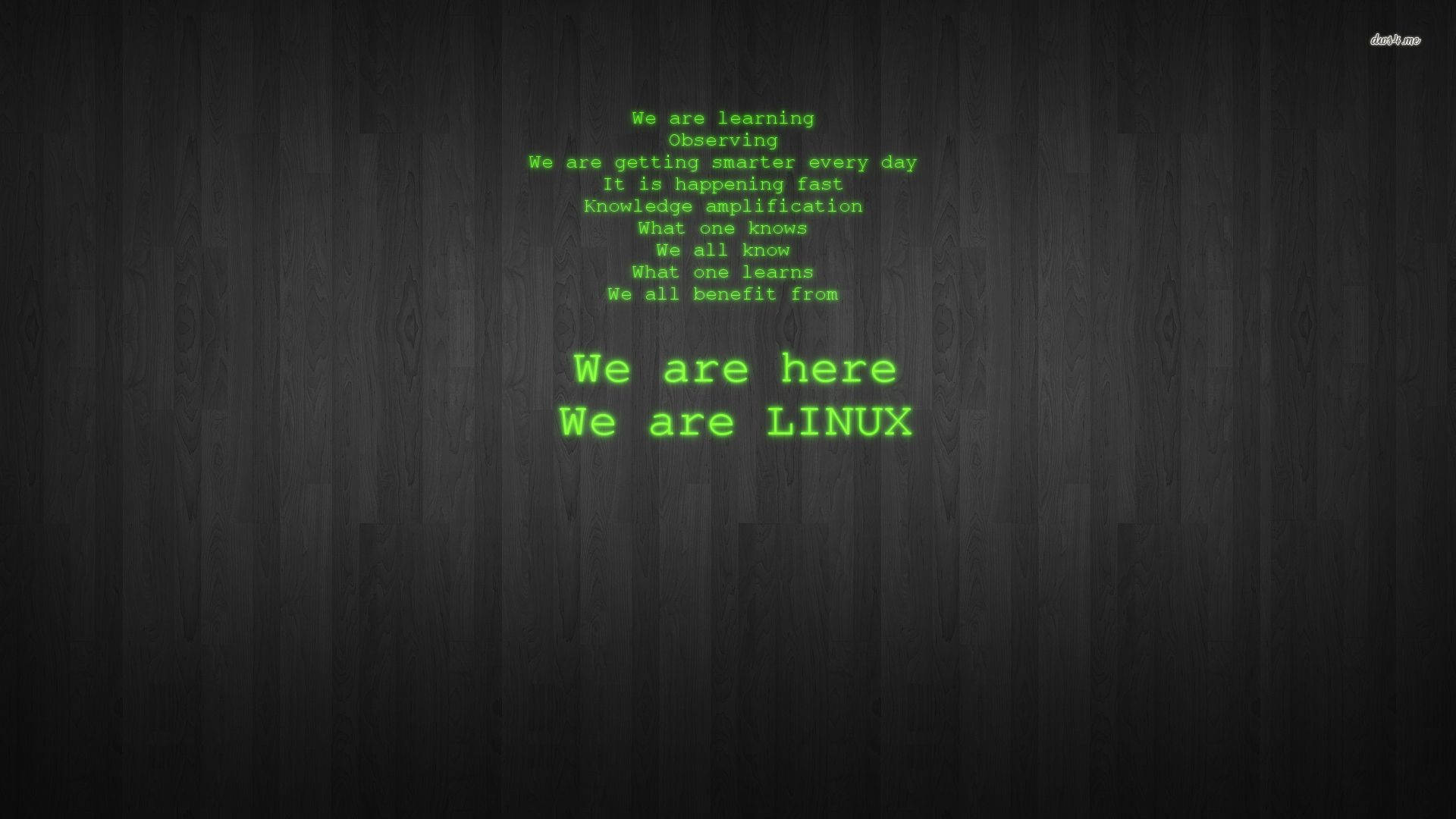 Linux 桌布 壁紙 — 綠色終端文字在深色木質背景上顯示「We are here We are LINUX」，上方有勵志短語。