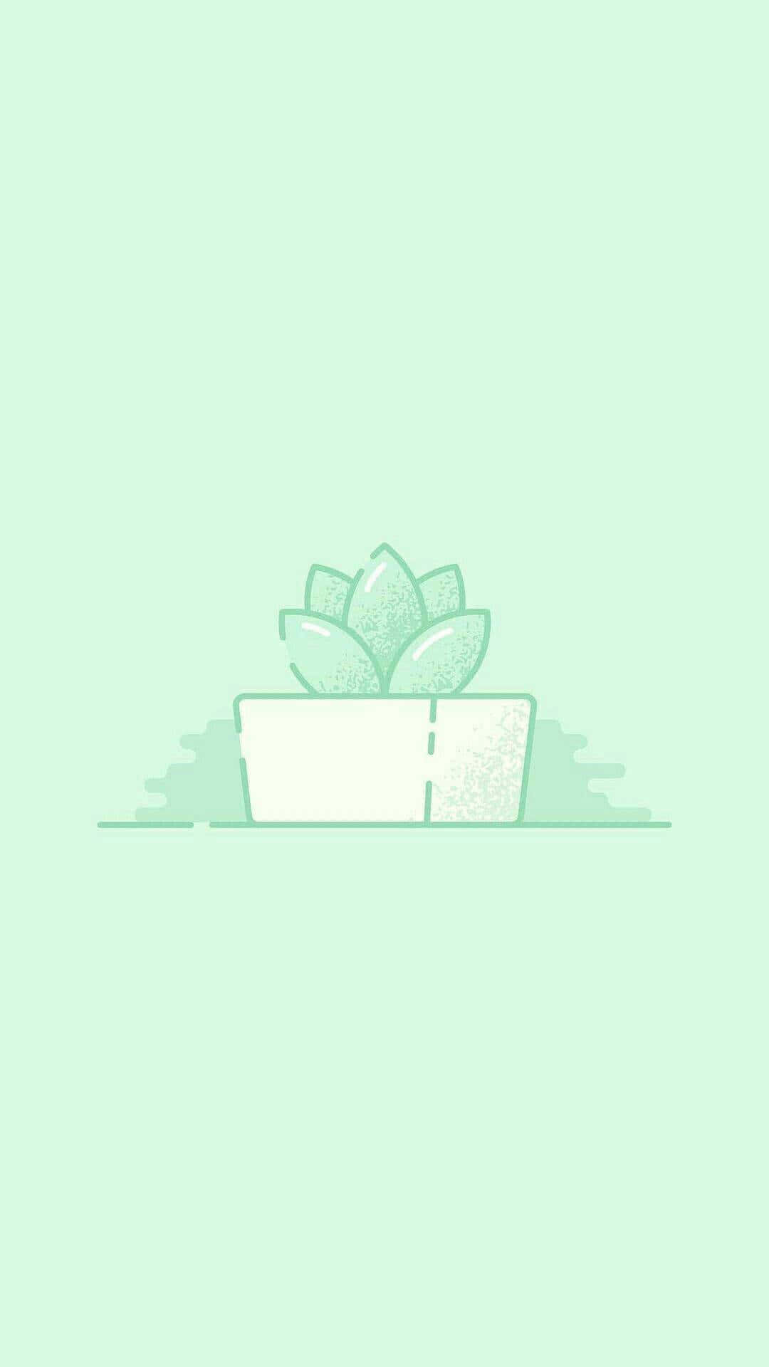 綠色美學背景 壁紙