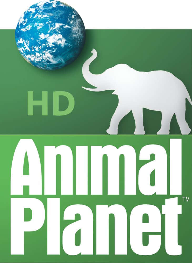 動物星球 桌布 壁紙 — 綠色背景上有一個白色大象剪影，旁邊是一個藍色地球儀，並帶有「Animal Planet HD」文字。