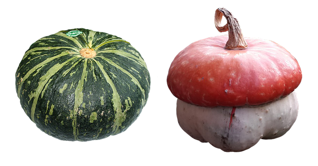 綠色與白色條紋南瓜和紅色頭巾瓜 壁紙
