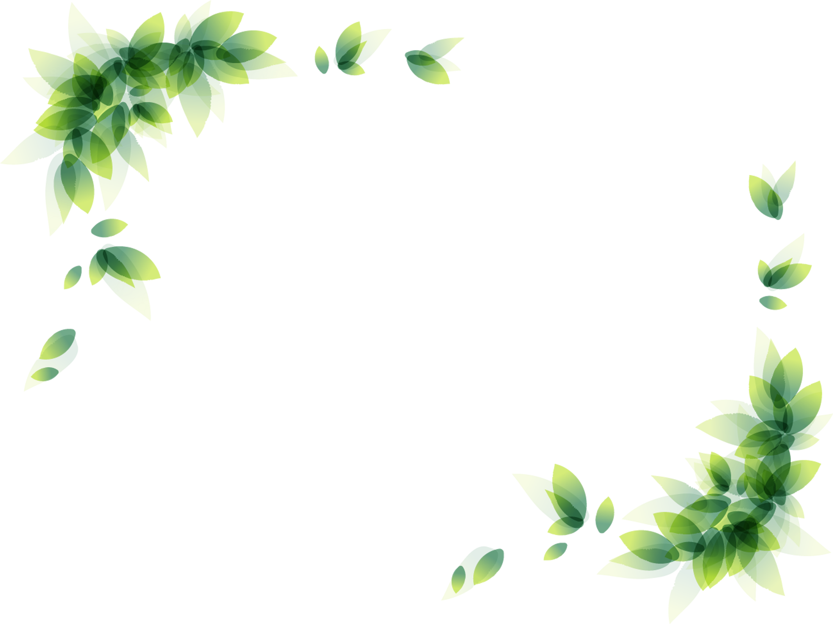 Leaf Border 桌布 壁紙 — 綠色葉子角落和白色泡泡漩渦在裝飾邊框設計中框住黑色背景。
