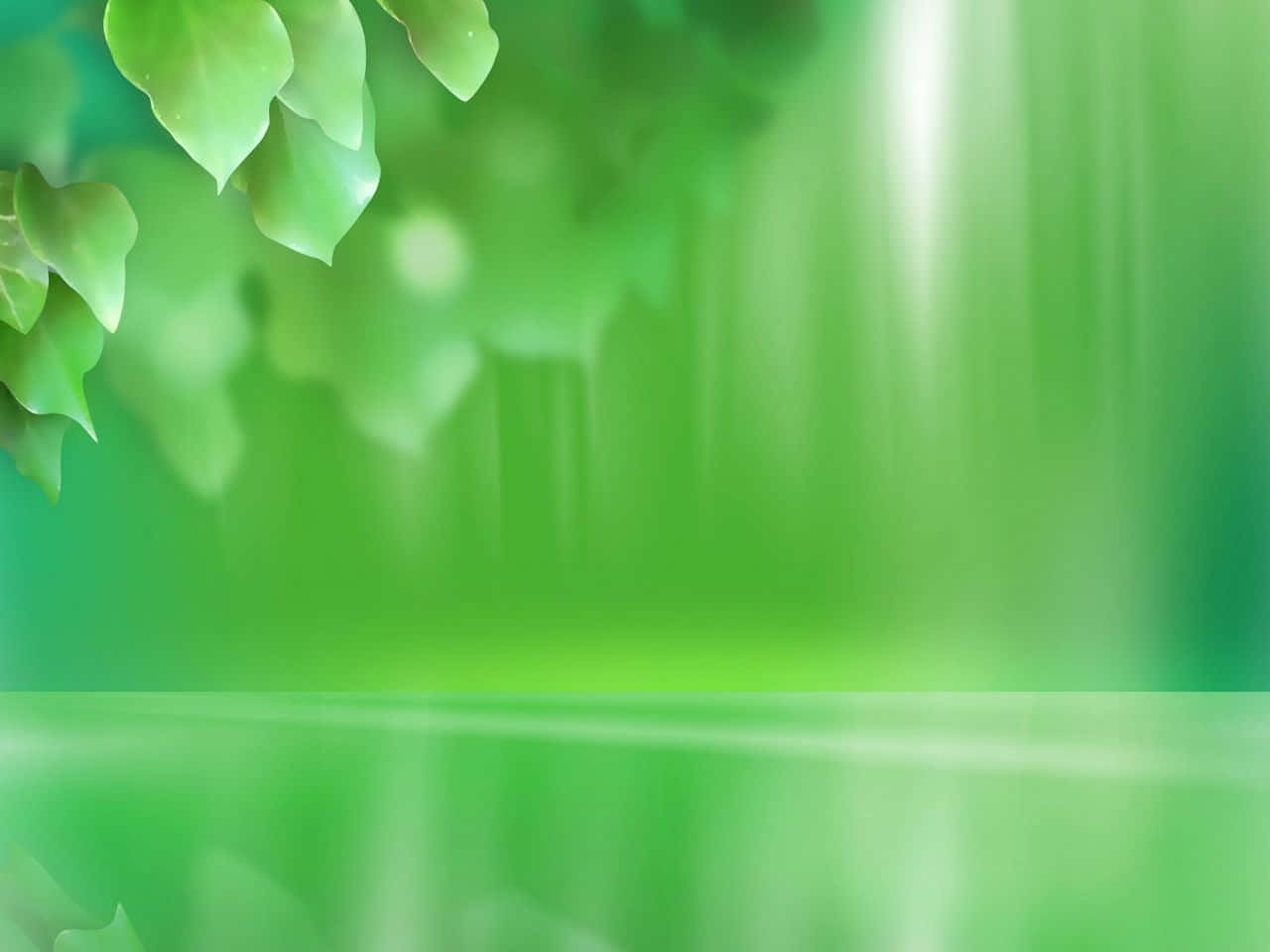 專業背景