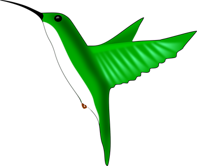 綠色蜂鳥插圖 壁紙