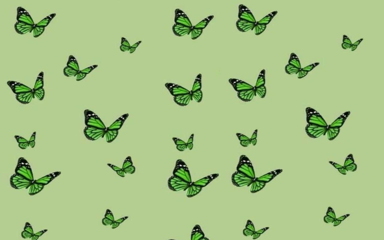 Green Butterfly 桌布 壁紙 — 綠色蝴蝶帶有黑色輪廓，在純淺綠色背景上以散落圖案飛舞。