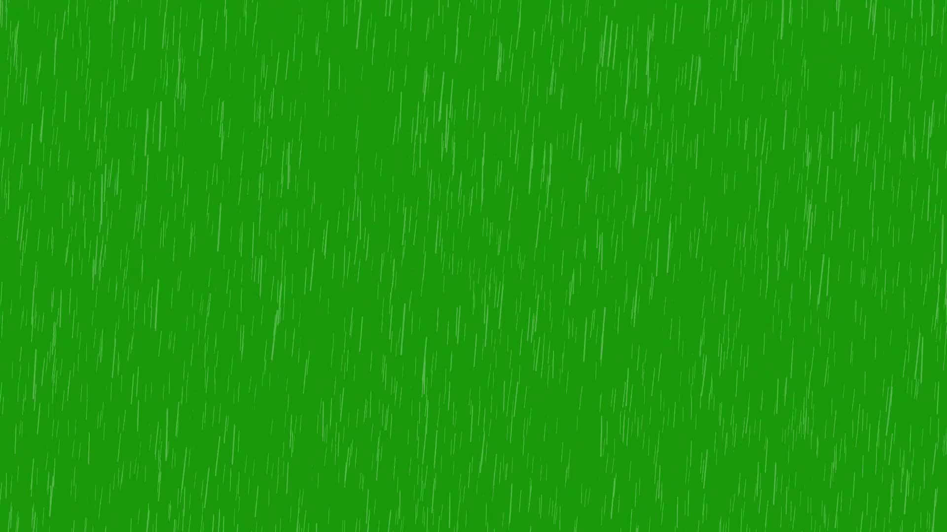 Raining 桌布 壁紙 — 綠色螢幕，白色雨絲斜向穿過畫面落下。