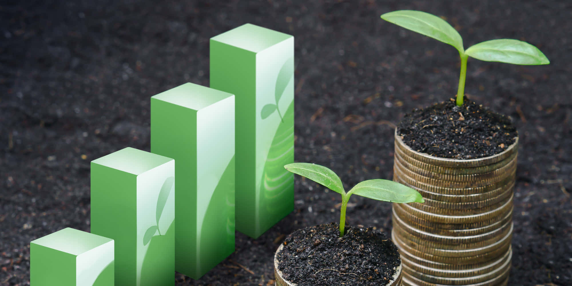 Green Economy 桌布 壁紙 — 綠色長條圖方塊在硬幣堆上的泥土中發芽的植物旁升起，象徵財務增長。