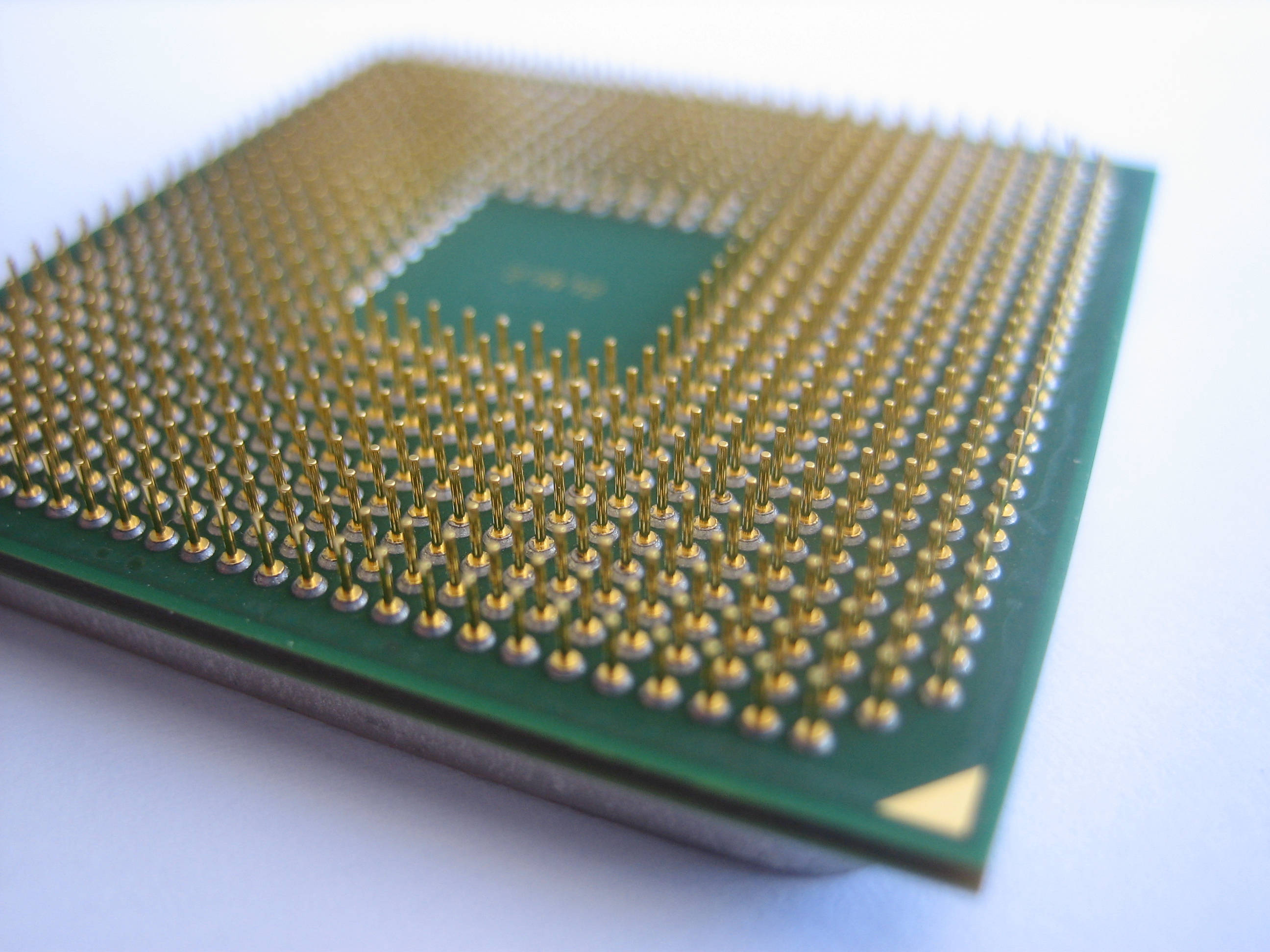 Processor 桌布 壁紙 — 綠色電腦處理器特寫，帶有金色引腳，背景為白色。