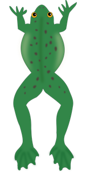 綠色青蛙插畫 壁紙
