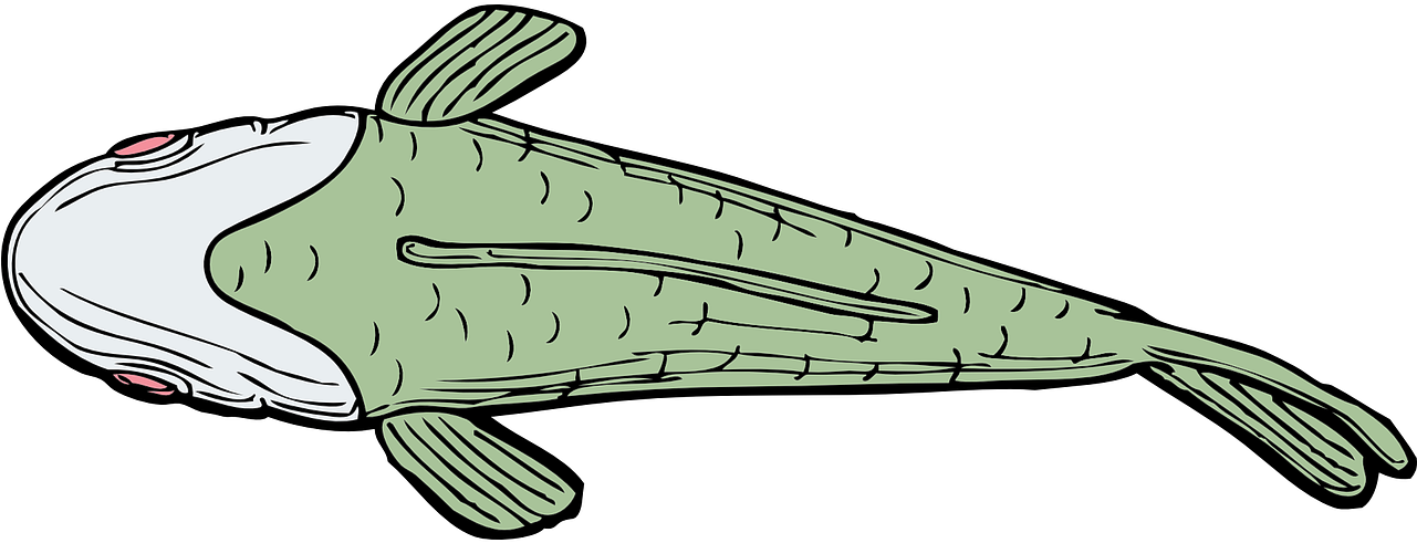 綠色魚兒卡通插圖 壁紙