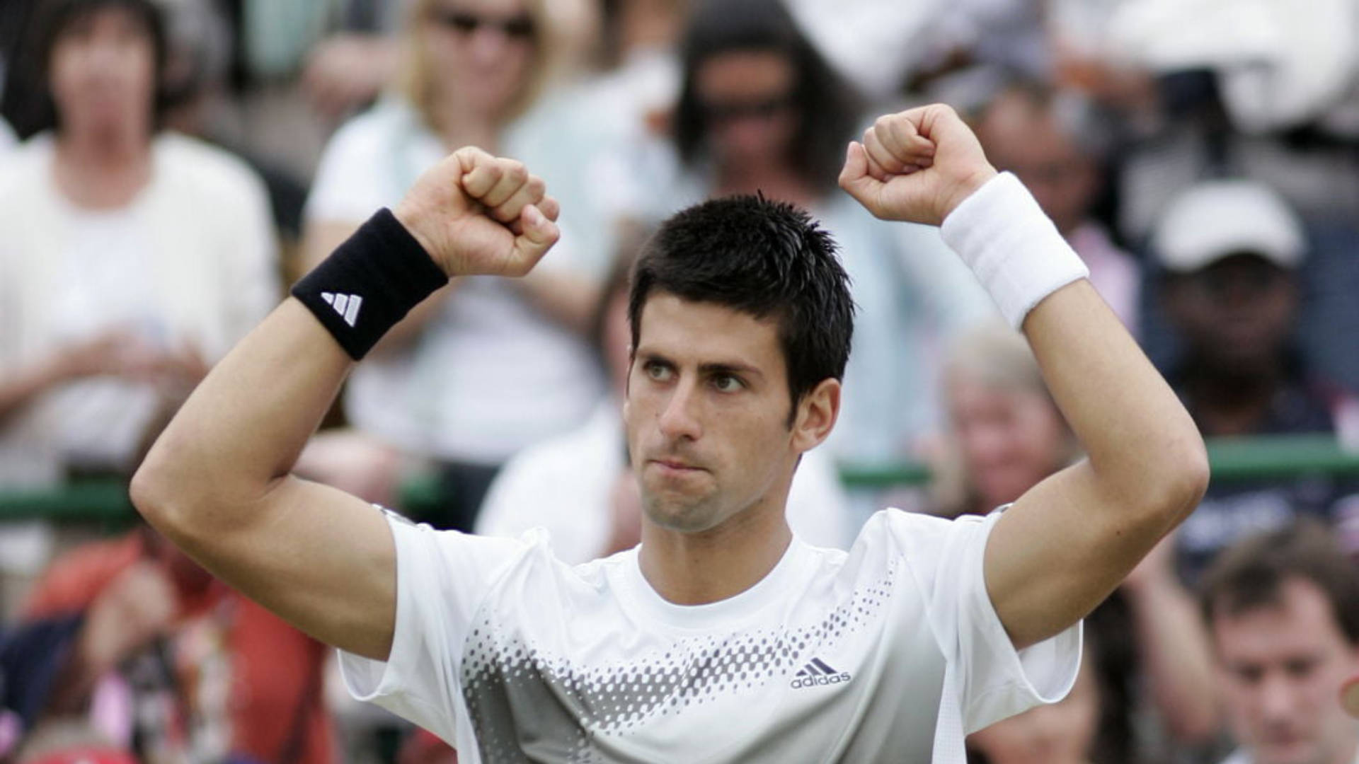 Novak 桌布 壁紙 — 網球運動員諾瓦克·喬科維奇在草地場上高舉雙拳慶祝勝利，身後是模糊的觀眾。