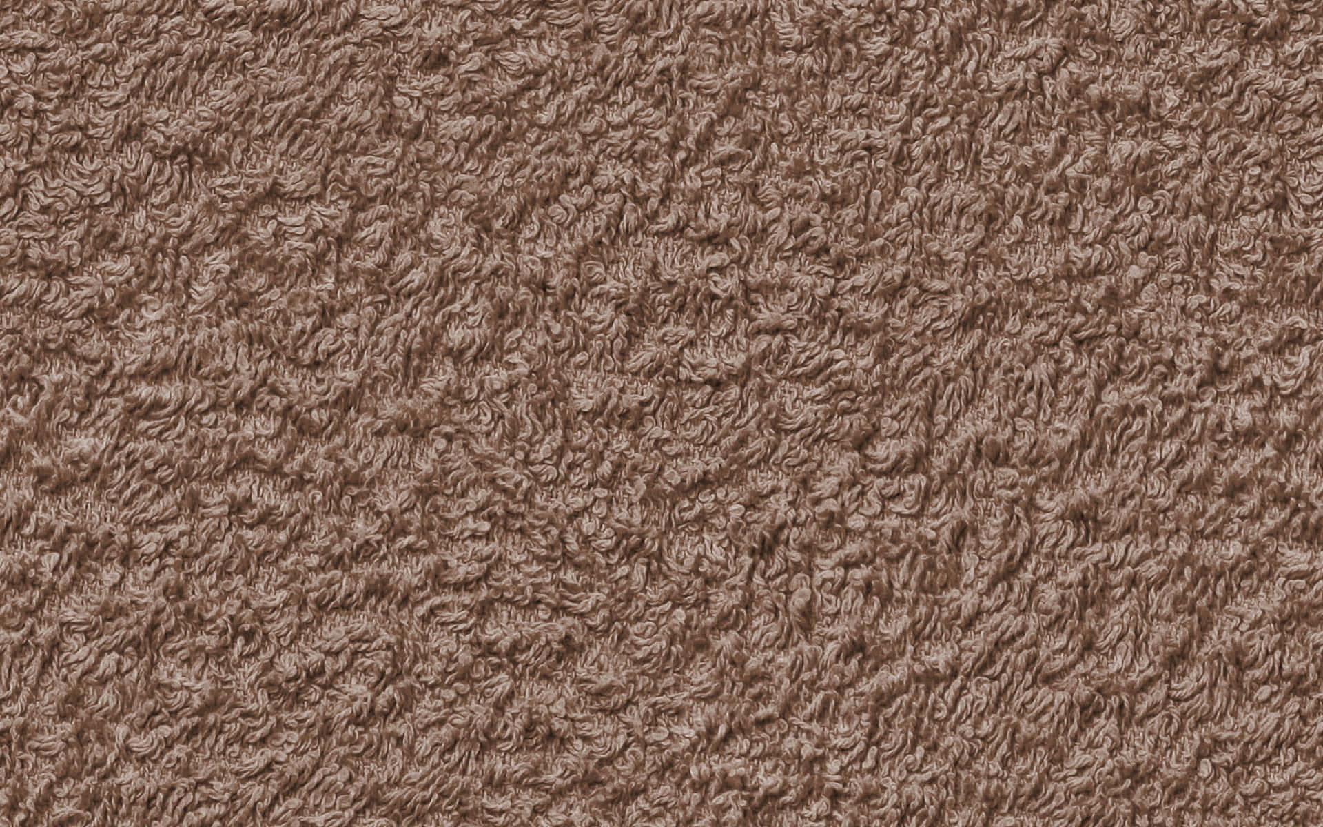 Carpet 桌布 壁紙 — 緊密棕色長毛地毯的特寫，柔軟質感的環圈覆蓋整個畫面。