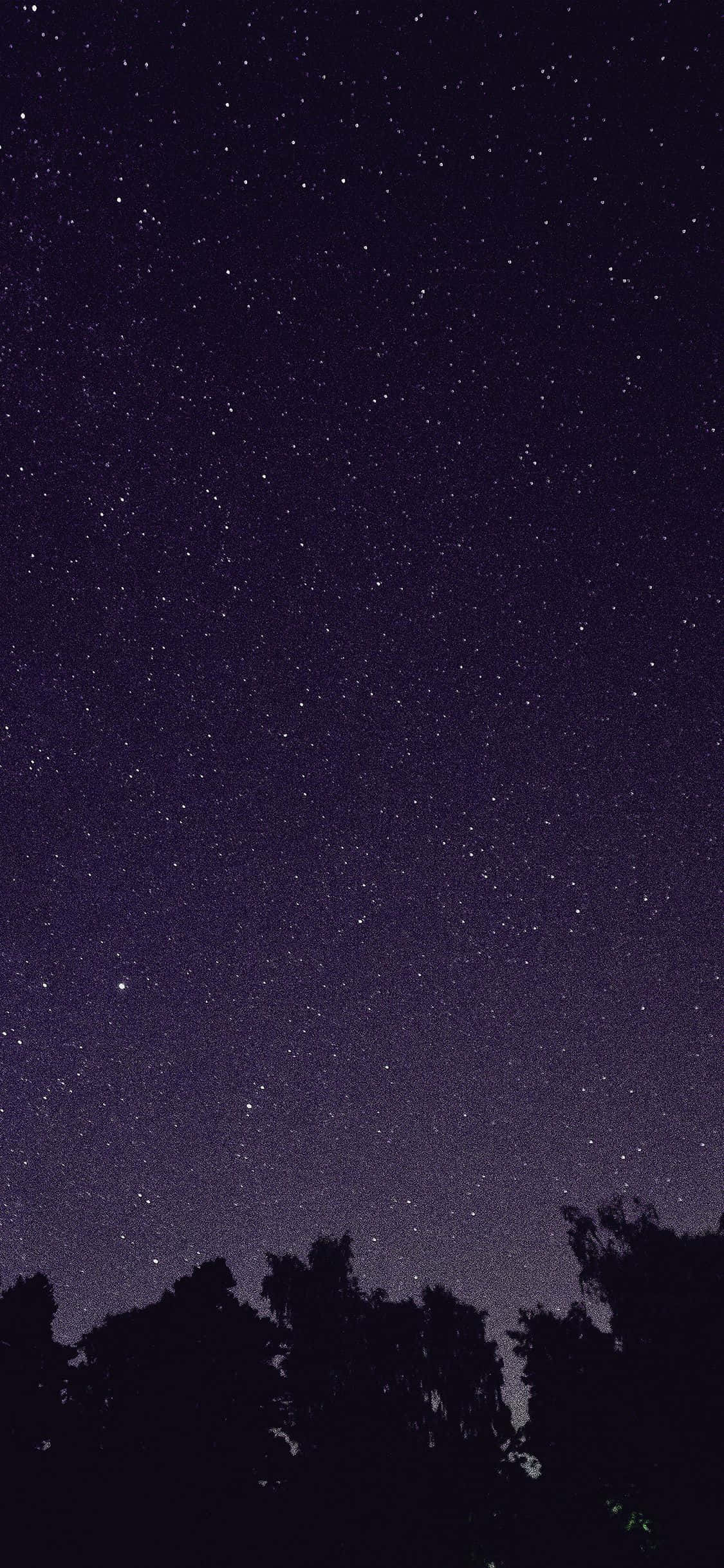 Astrology iPhone 桌布 壁紙 — 繁星閃爍的夜空，無數閃爍的星星在黑暗的樹梢剪影之上。