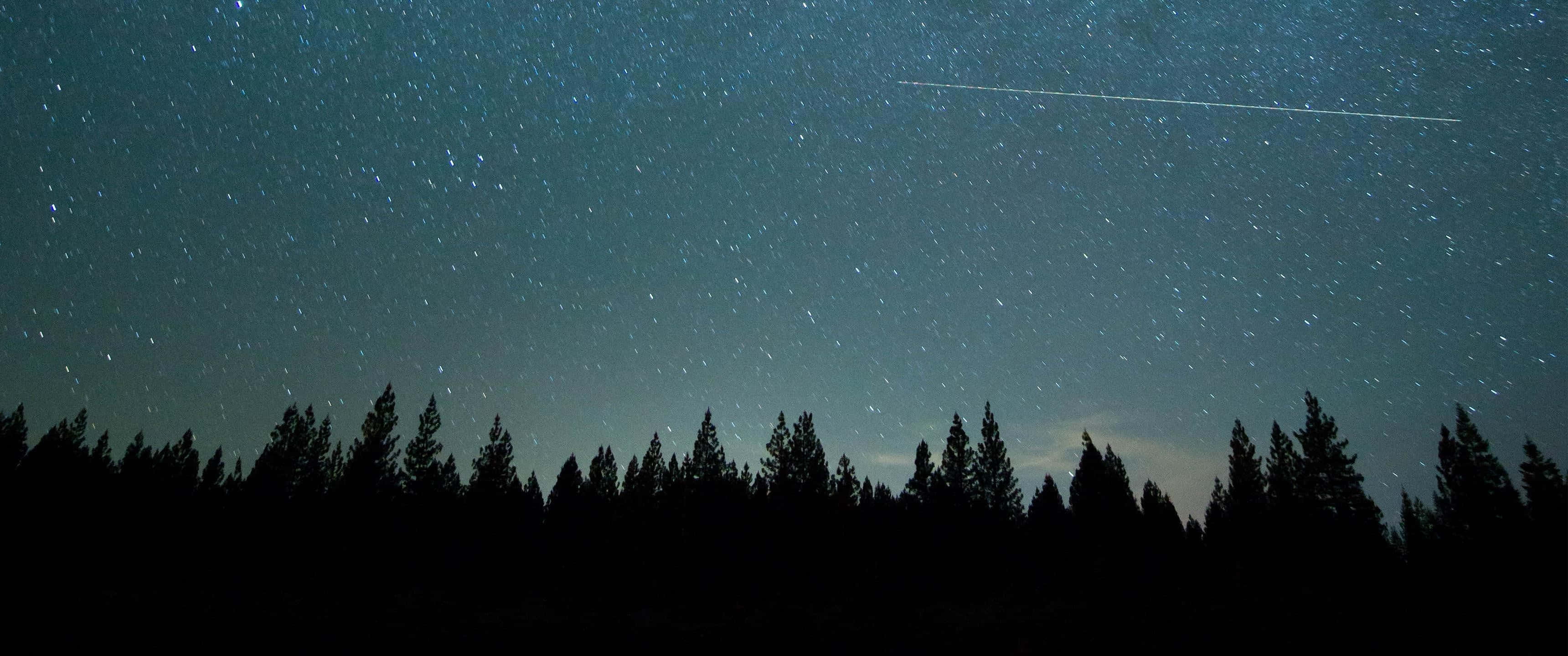 桌布 壁紙 — 繁星點點的夜空，一顆明亮的流星劃過松樹的黑暗輪廓上方。
