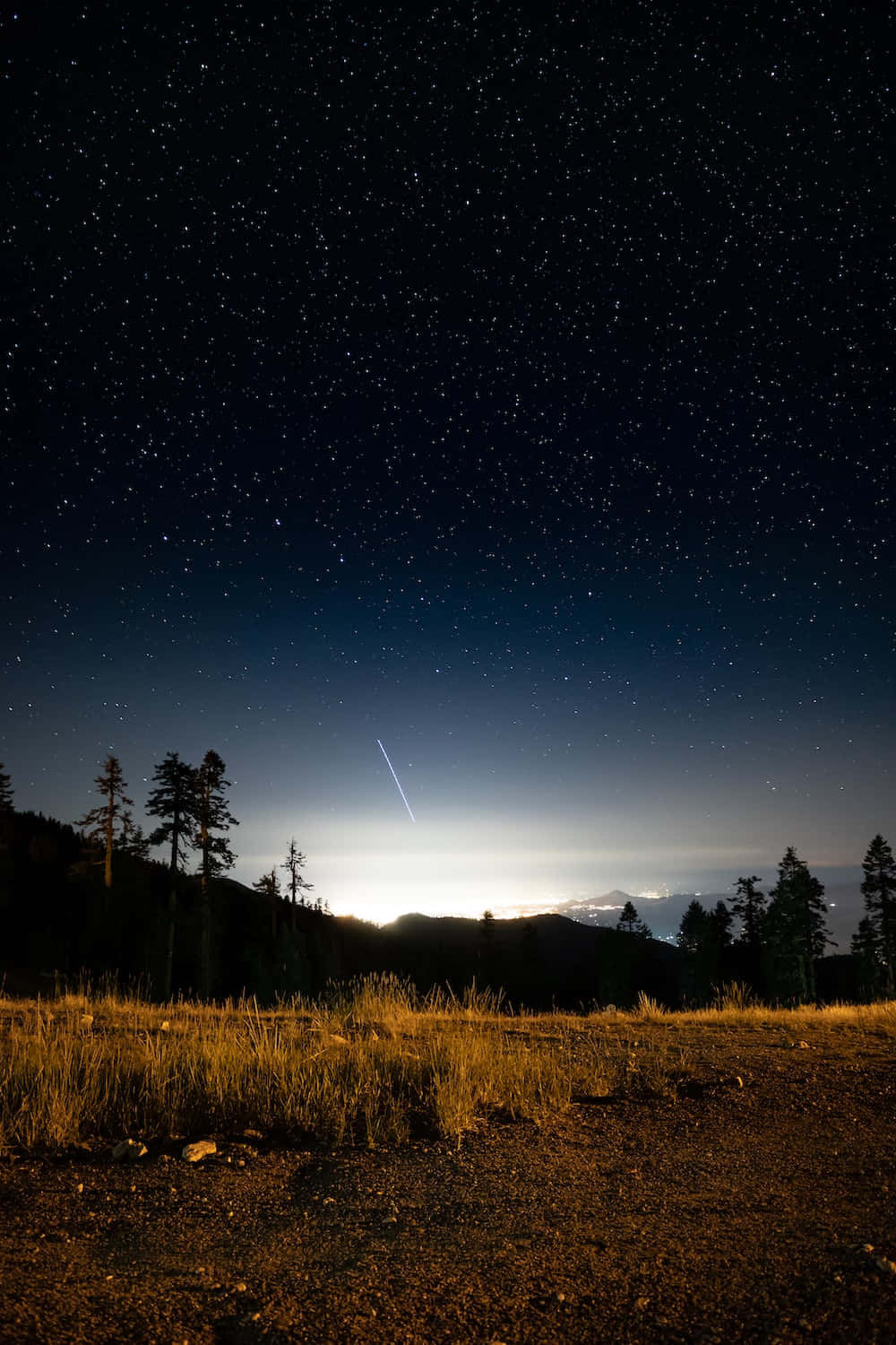 夜晚 桌布 壁紙 — 繁星點點的夜空，一顆明亮的流星劃過剪影般的松樹和遠處的城市燈光。