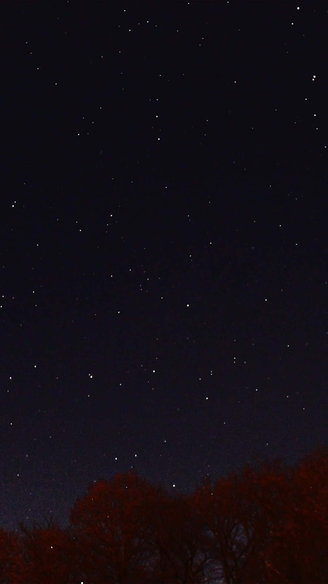 iPhone 8 Plus 桌布 壁紙 — 繁星點點的夜空，下方是深色剪影樹木，深紅色的樹葉在天體光芒下微微發光。