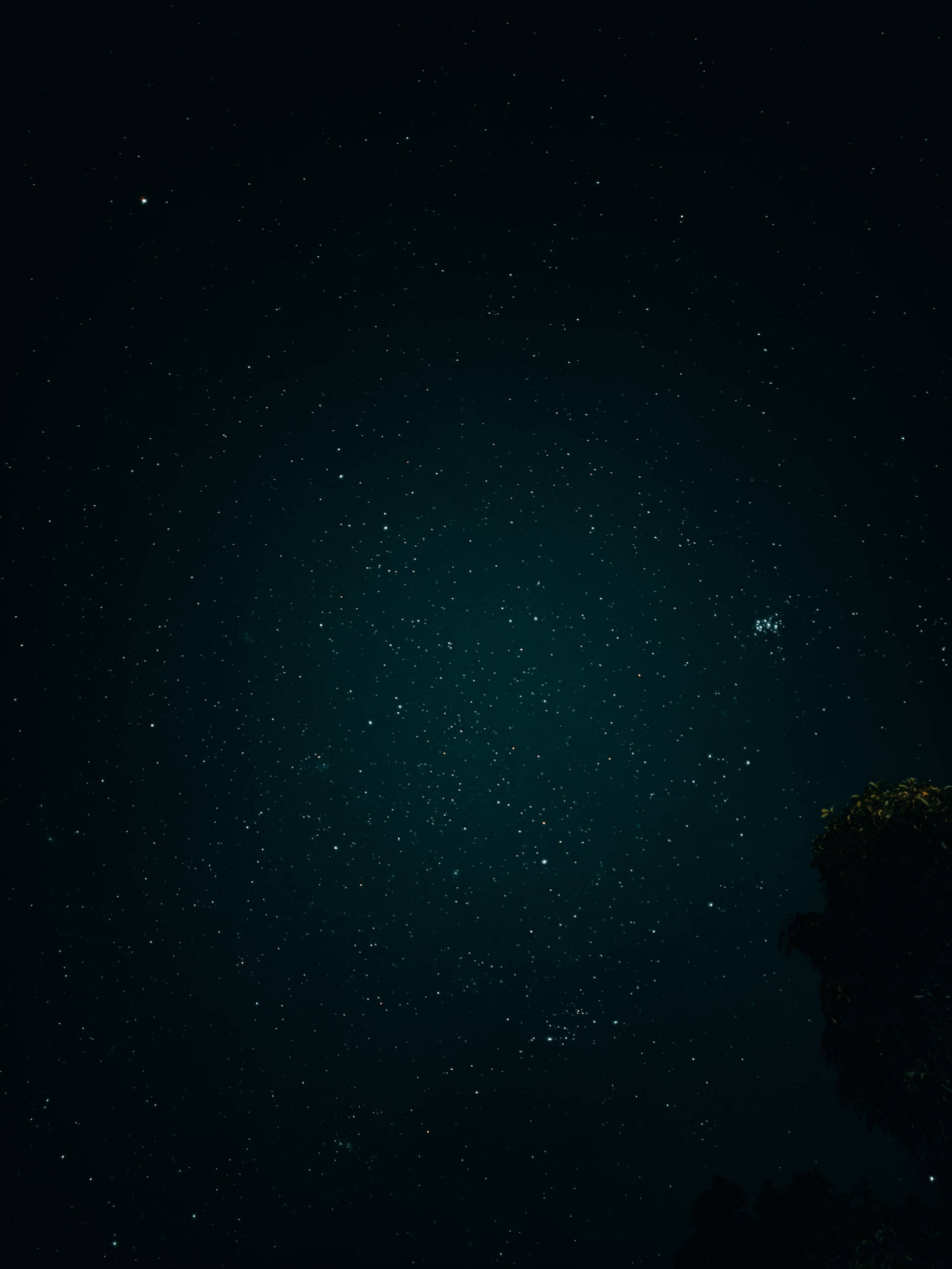 black aesthetic tumblr iPhone 桌布 壁紙 — 繁星點點的夜空，帶有深藍綠色漸層，右下角有樹枝剪影。