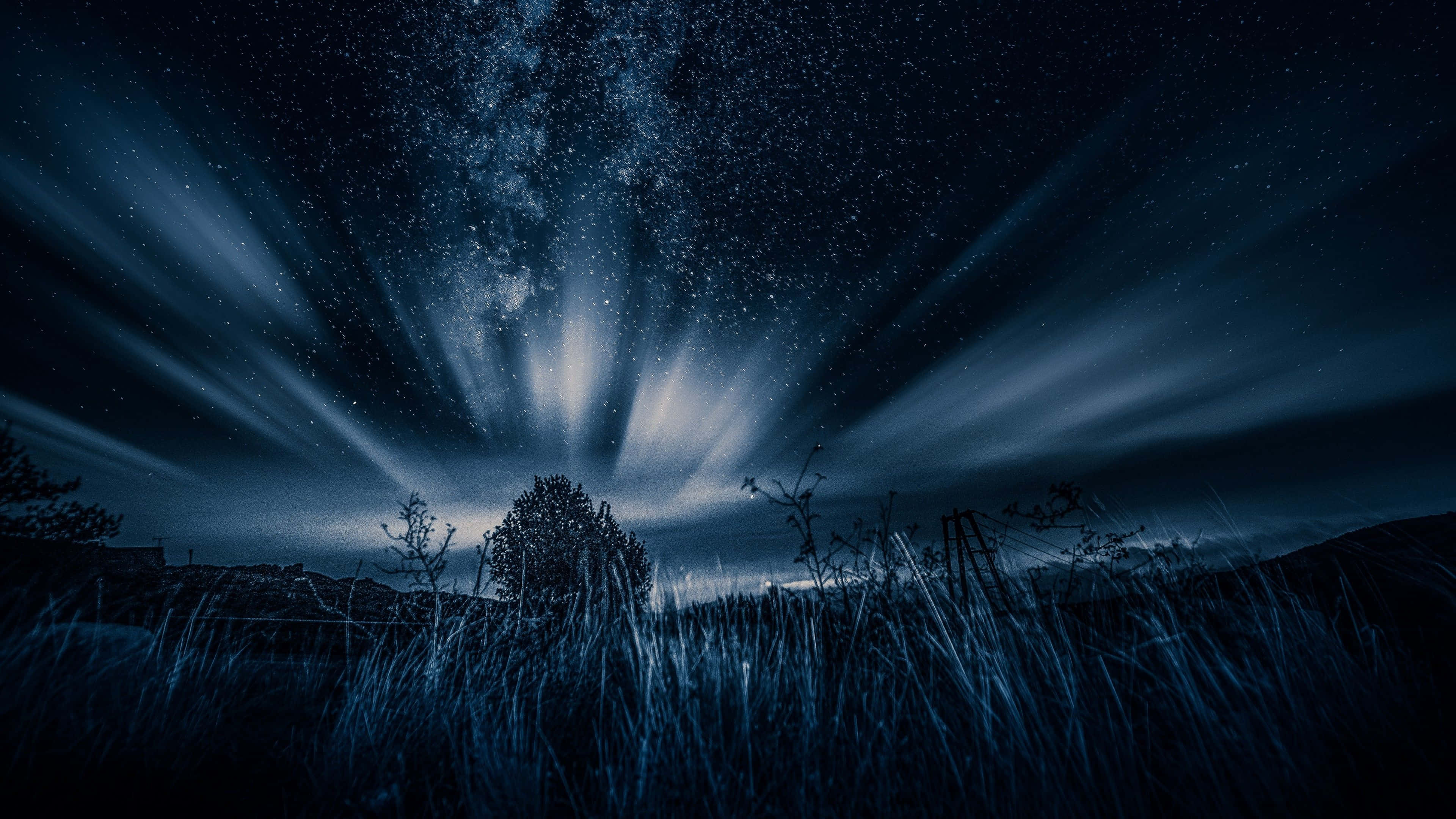 Dark Sky 桌布 壁紙 — 繁星點點的夜空，帶有耀眼藍色光束，照亮了剪影樹木和草地。