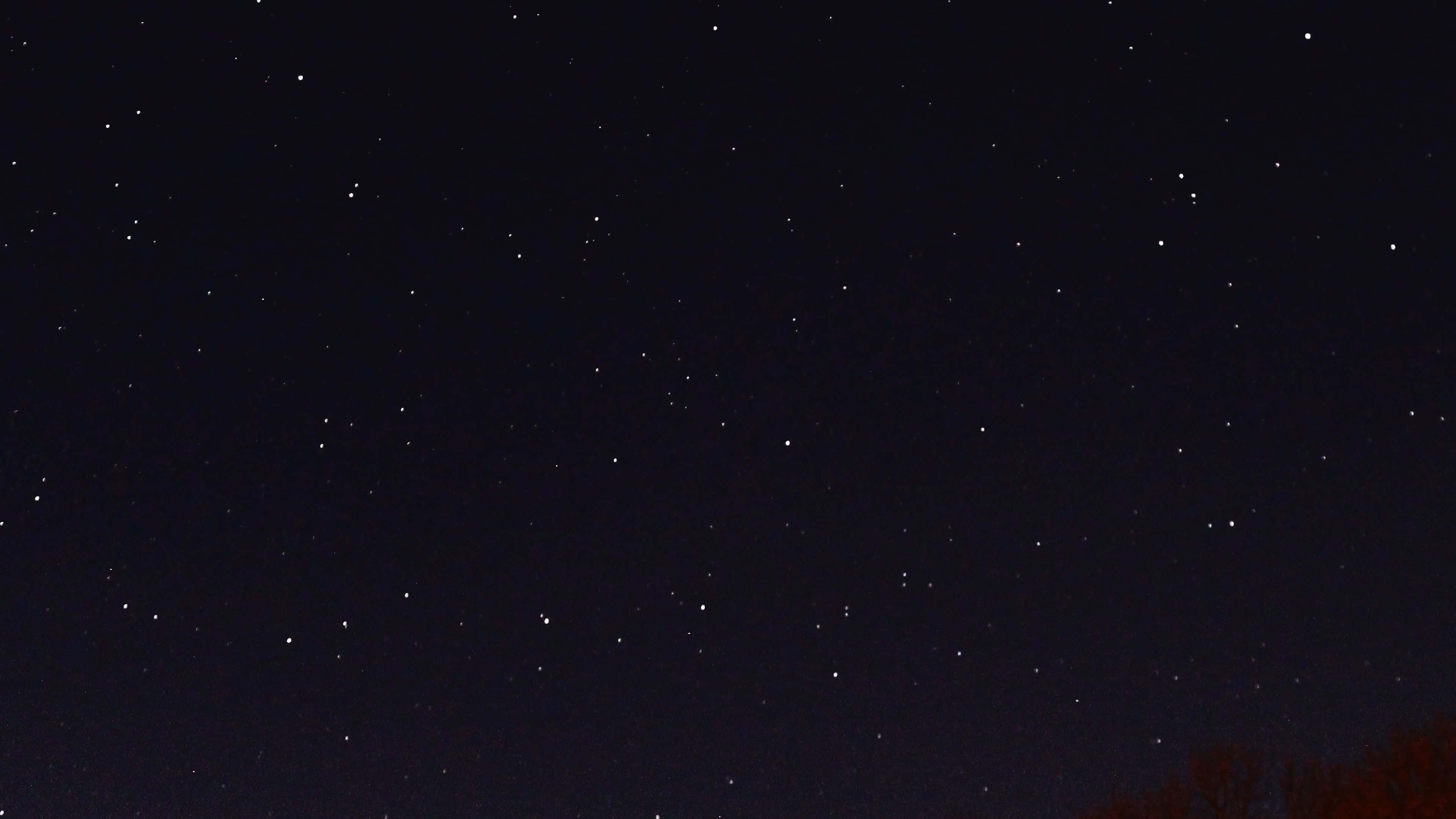 桌布 壁紙 — 繁星點點的夜空，底部有隱約的樹木剪影，襯托著深邃的靛藍黑暗。