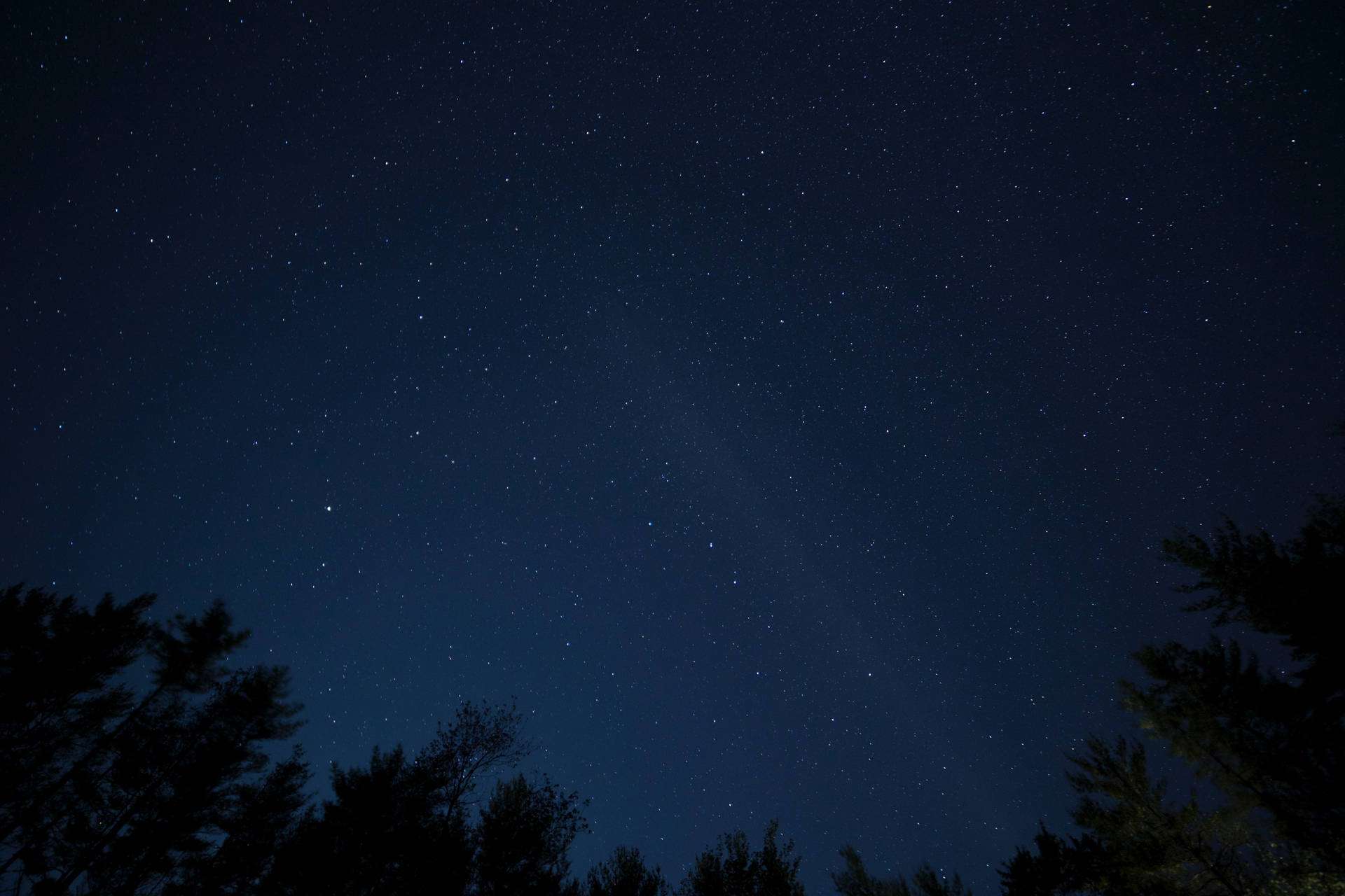 夜空 桌布 壁紙 — 繁星點點的夜空，微弱的銀河在松樹的黑暗剪影上方拱起。