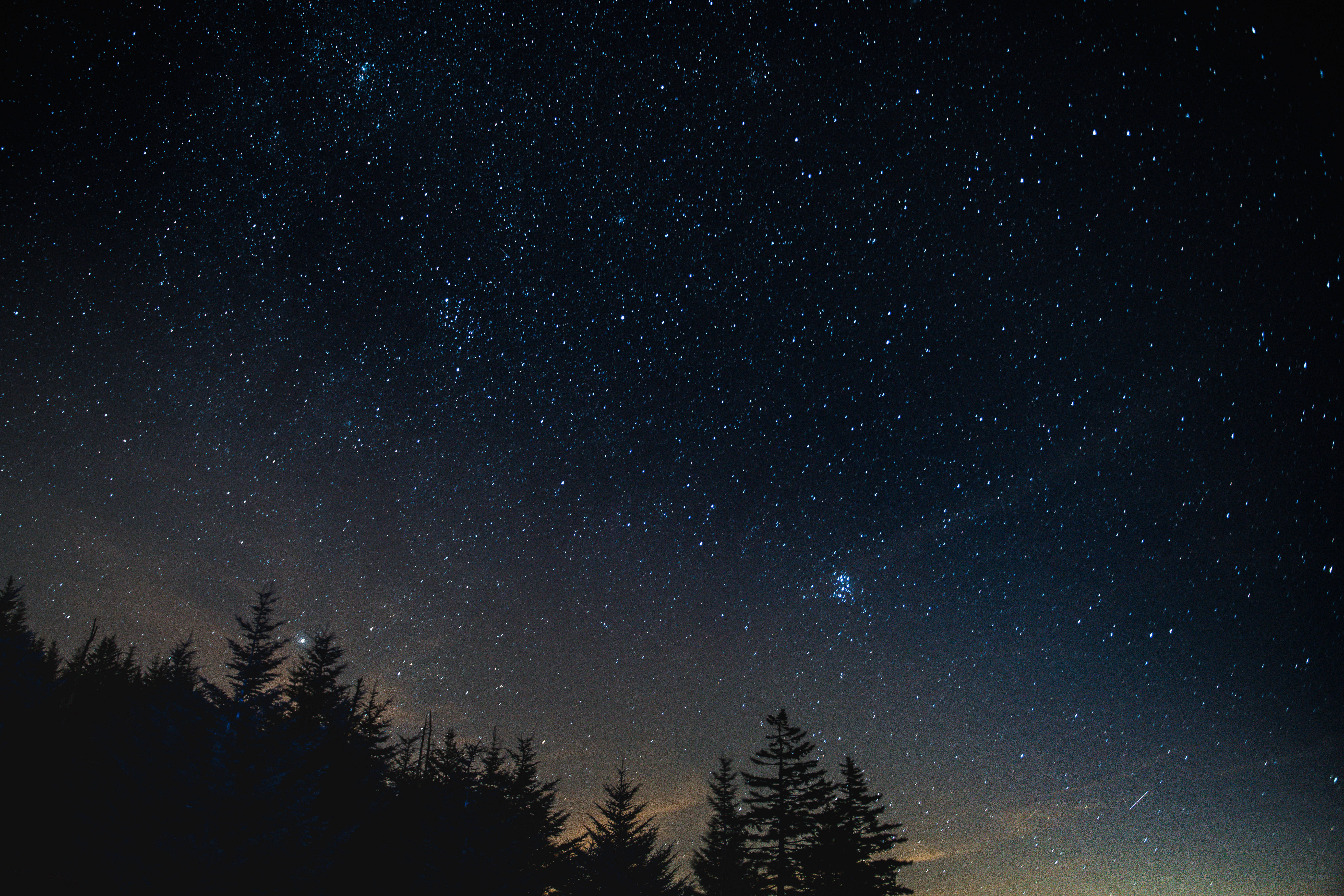 風景 桌布 壁紙 — 繁星點點的夜空，淡淡的銀河在松樹的黑色剪影上拱起。