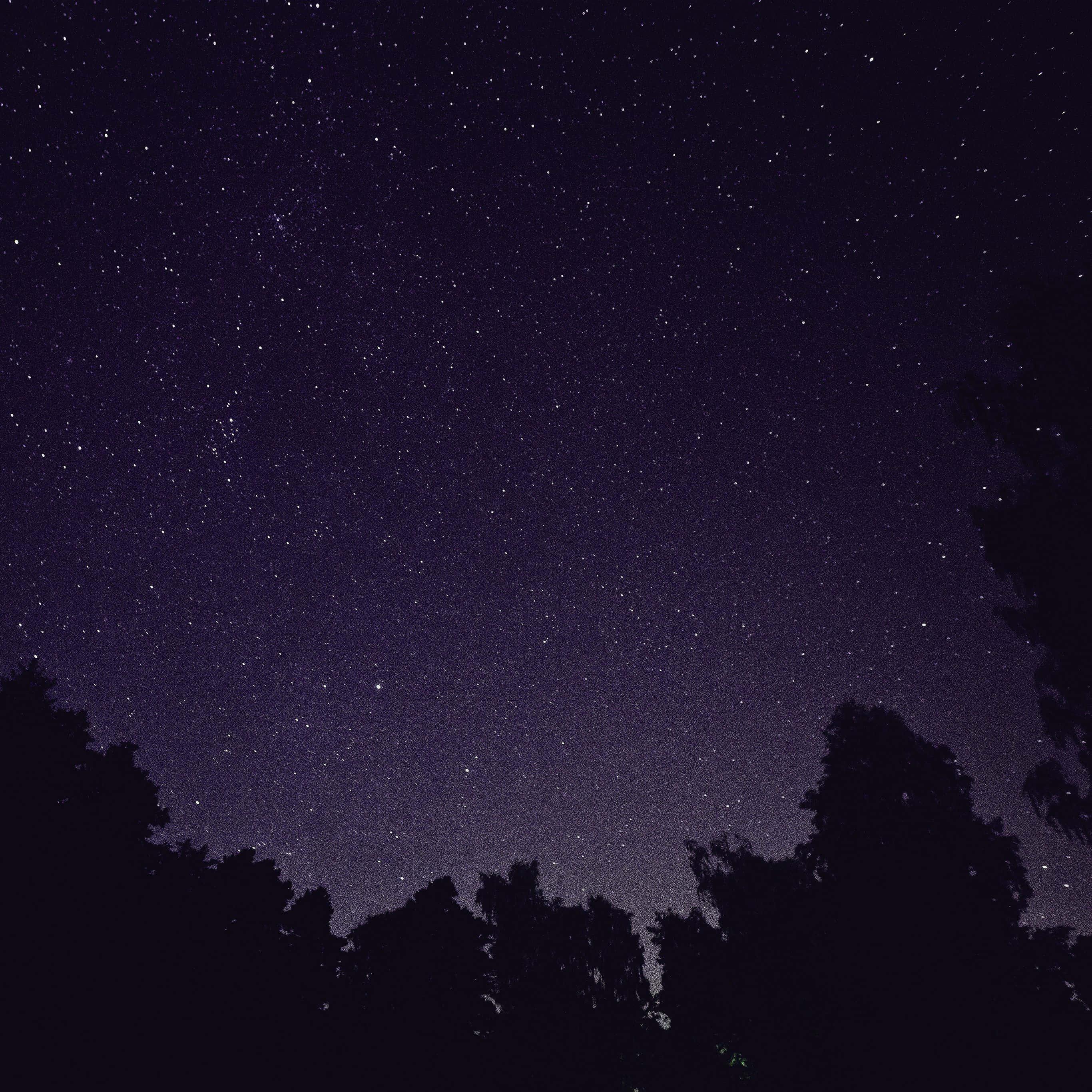 桌布 壁紙 — 繁星點點的夜空，無數閃爍的星星懸掛在黑暗樹梢的剪影之上。