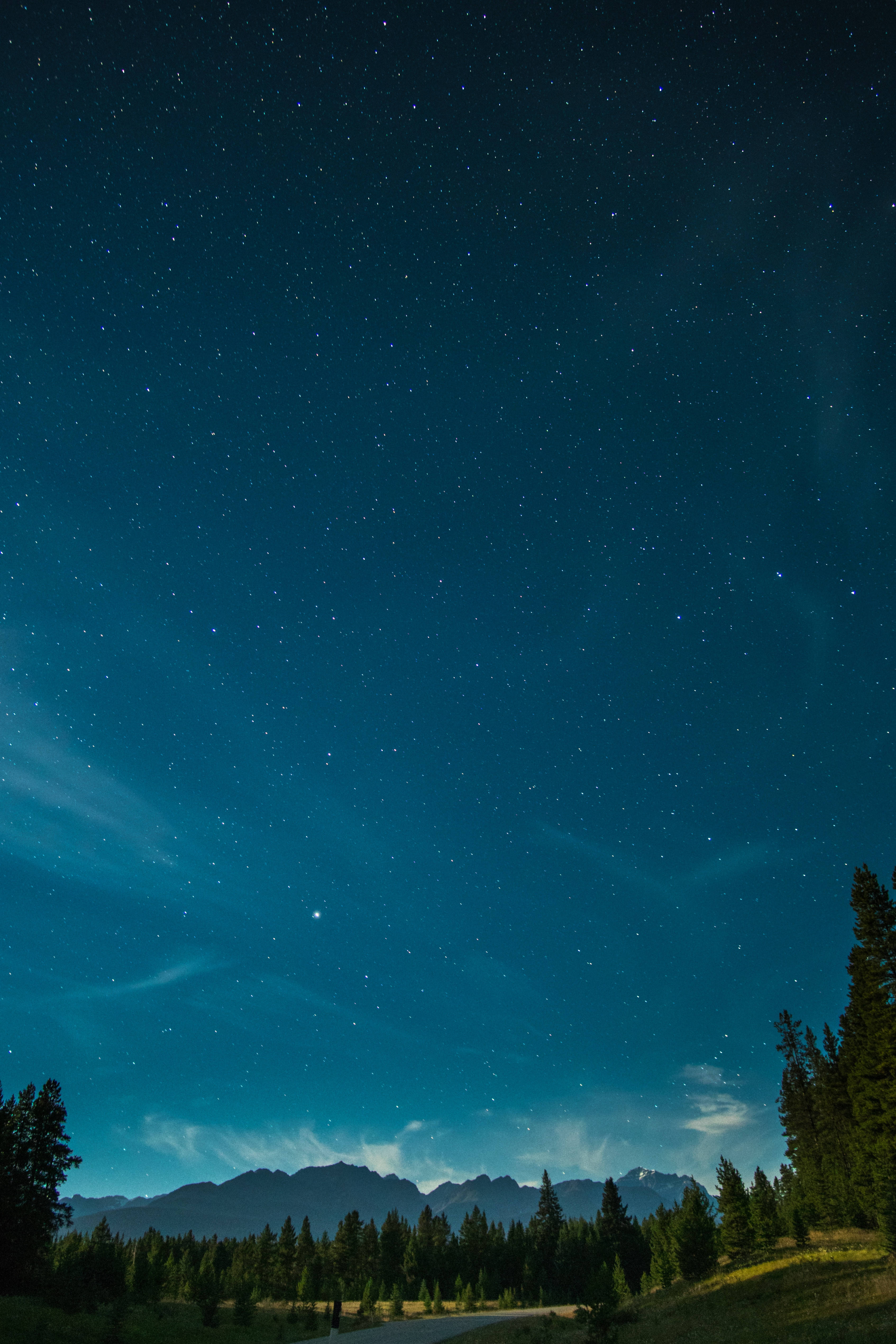 Starry 桌布 壁紙 — 繁星點點的夜空，發光的極光在黑暗的山脈和松林上空拱起。