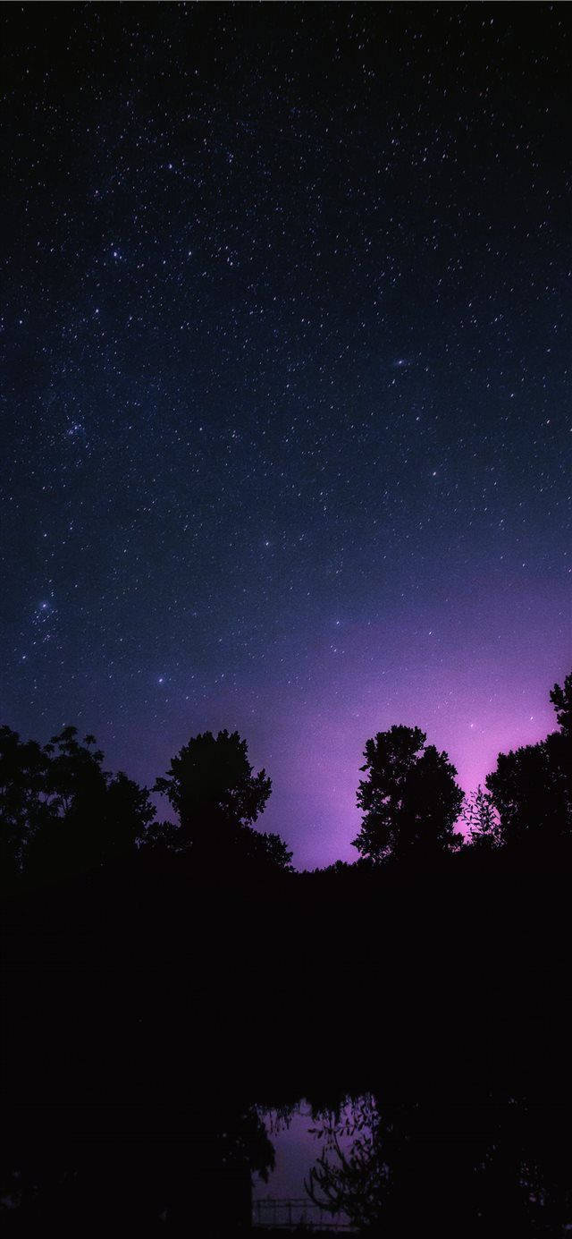 夜空 桌布 壁紙 — 繁星點點的夜空，紫色極光映照在黑暗樹影之上，平靜的水面反射出光芒。