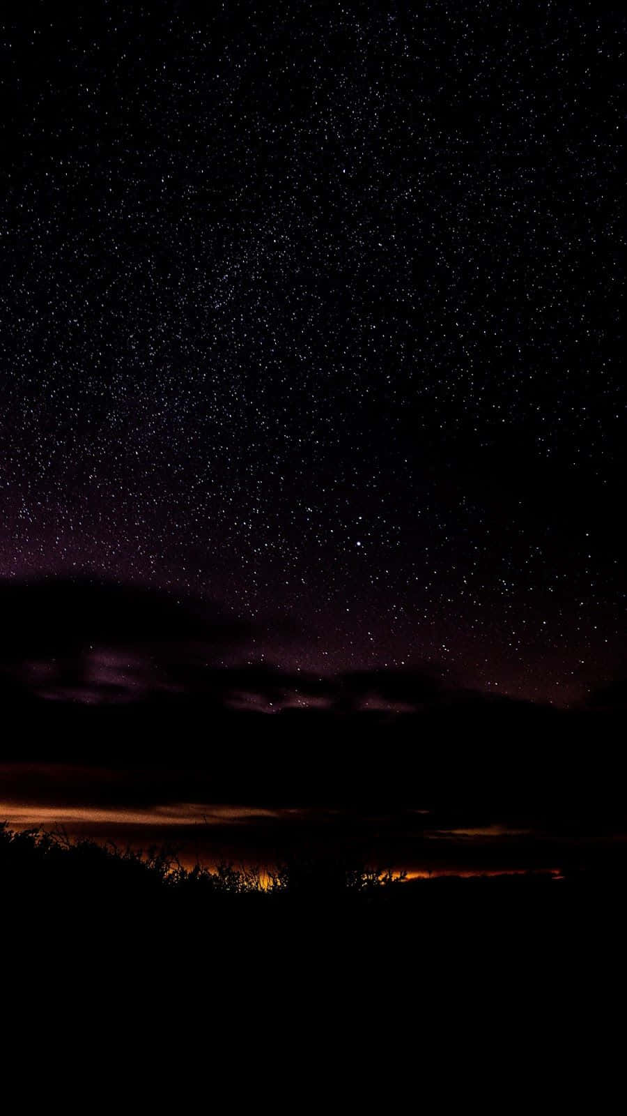 夜空 桌布 壁紙 — 繁星點點的夜空，紫色雲彩和橙色地平線光芒籠罩著黑暗的剪影樹木。