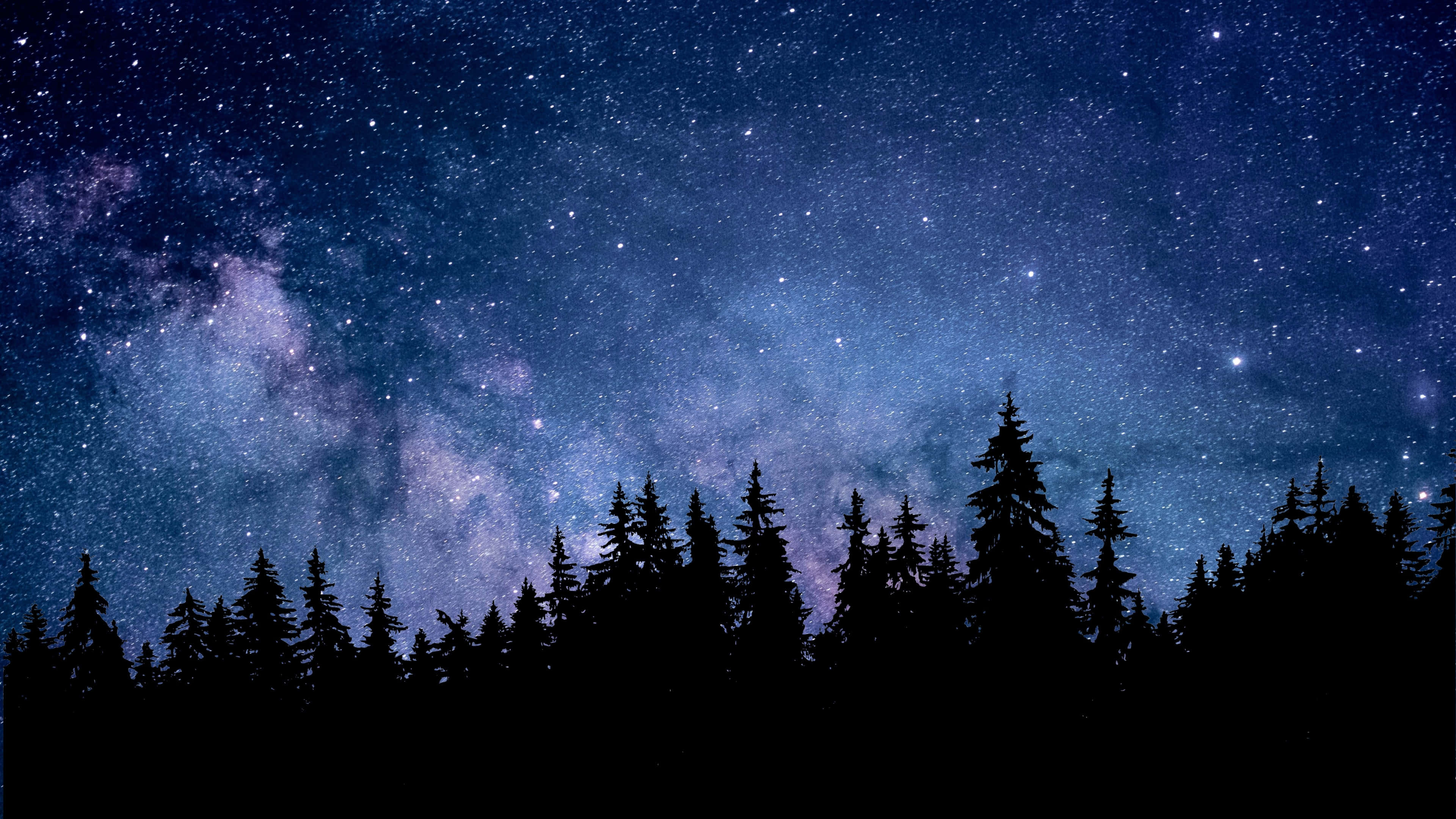 Night Forest 桌布 壁紙 — 繁星點點的夜空，銀河在松樹的黑色剪影上方拱起。
