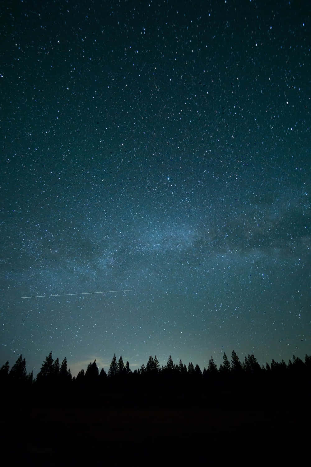 夜空 桌布 壁紙 — 繁星點點的夜空，銀河拱起在黑暗森林剪影和微弱飛機軌跡之上。