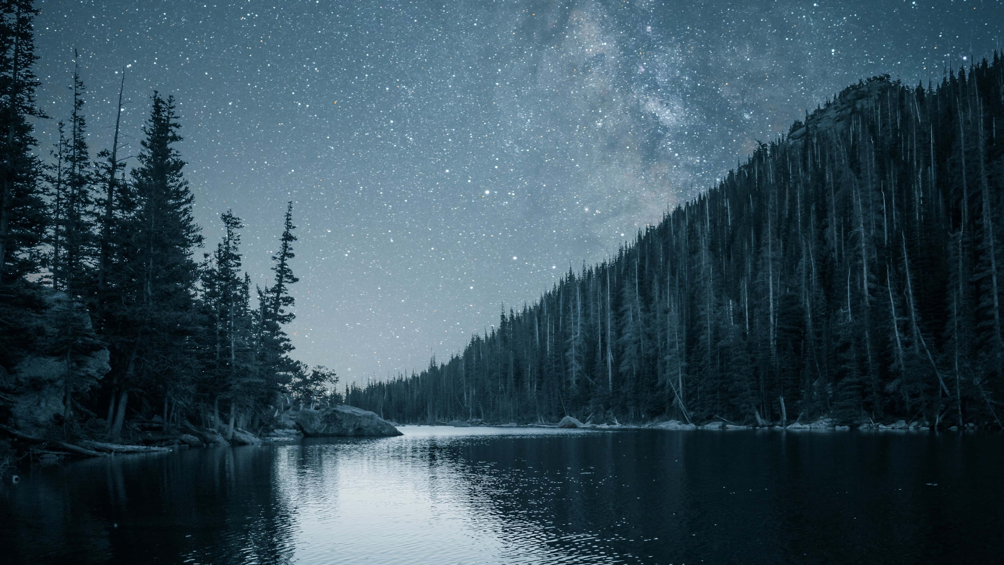 桌布 壁紙 — 繁星點點的夜空，銀河拱跨在平靜的湖面上，四周環繞著茂密的松林。